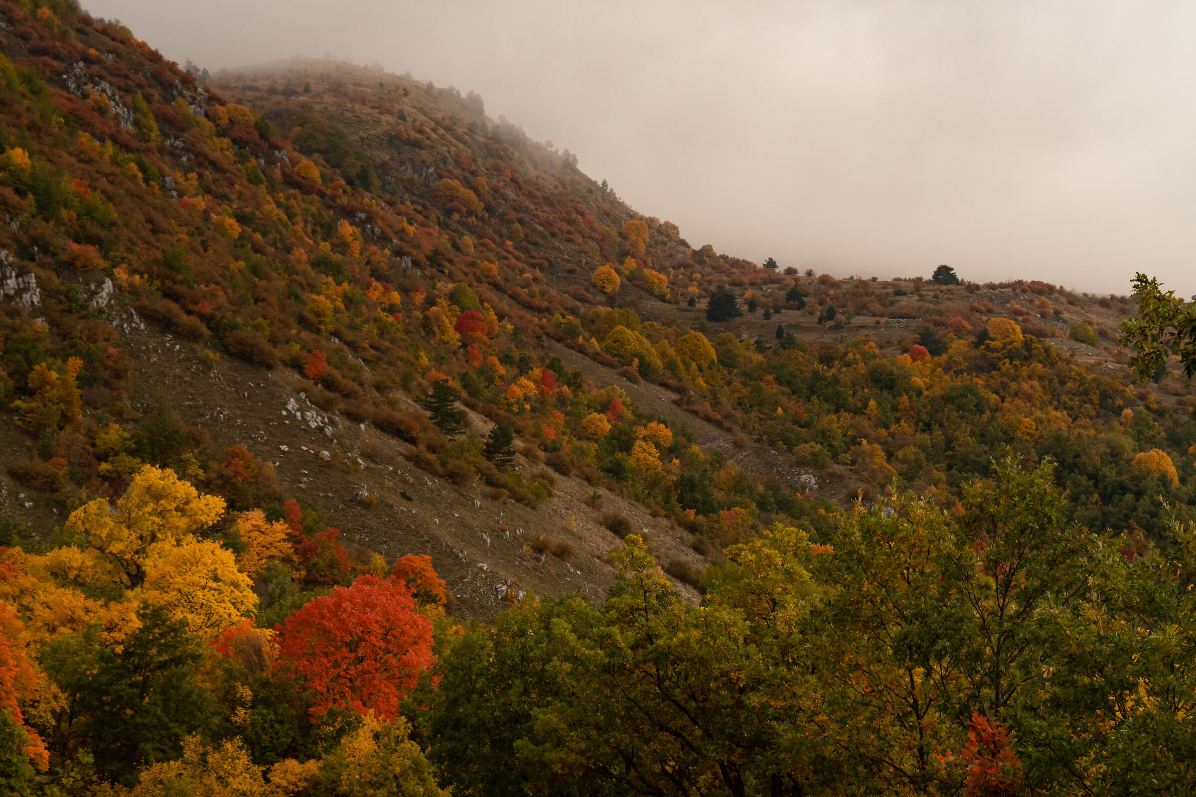 The autumn plateau...