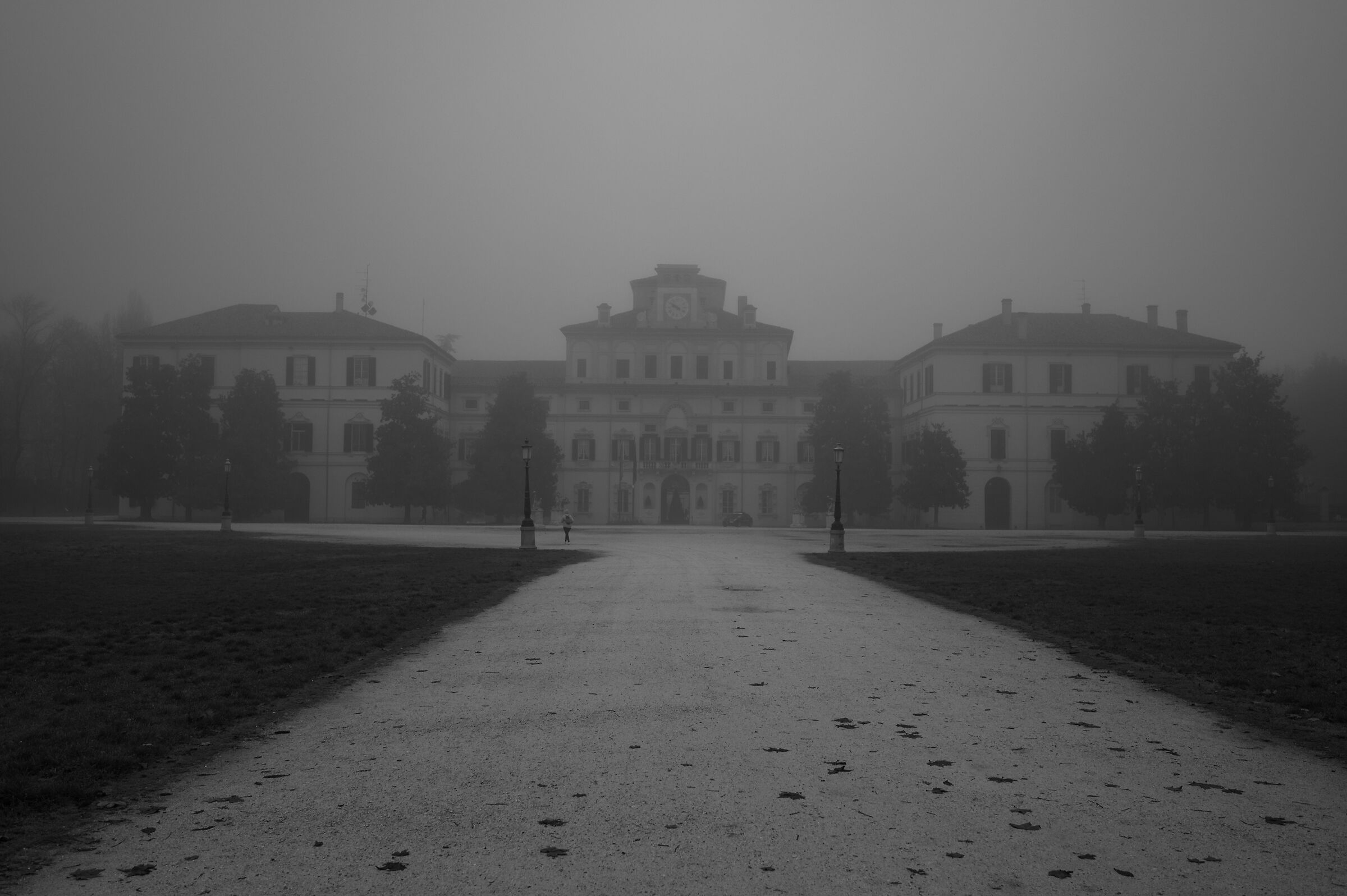 Morning with fog Parco Ducale (PR)...