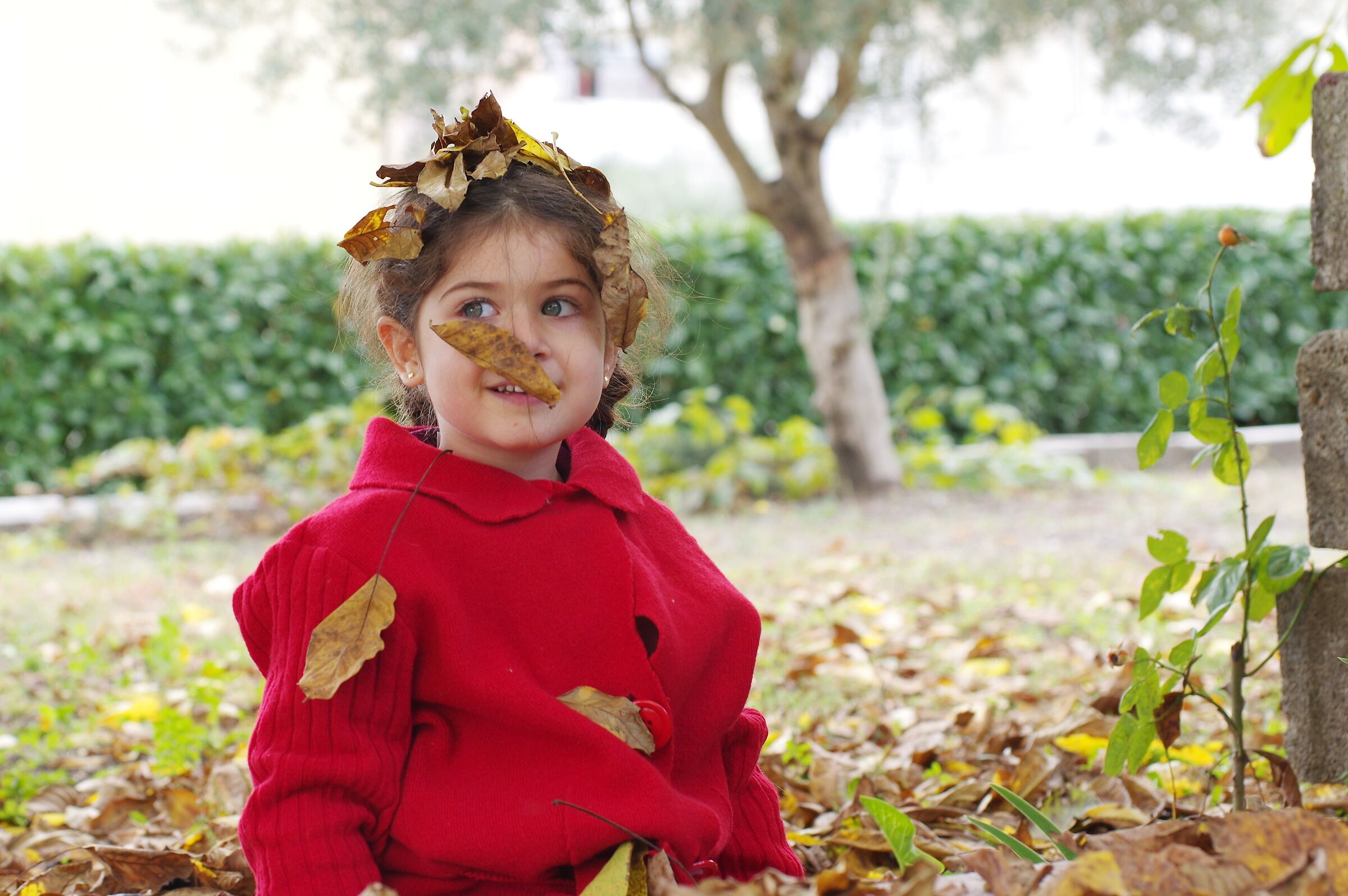 Autumn...
