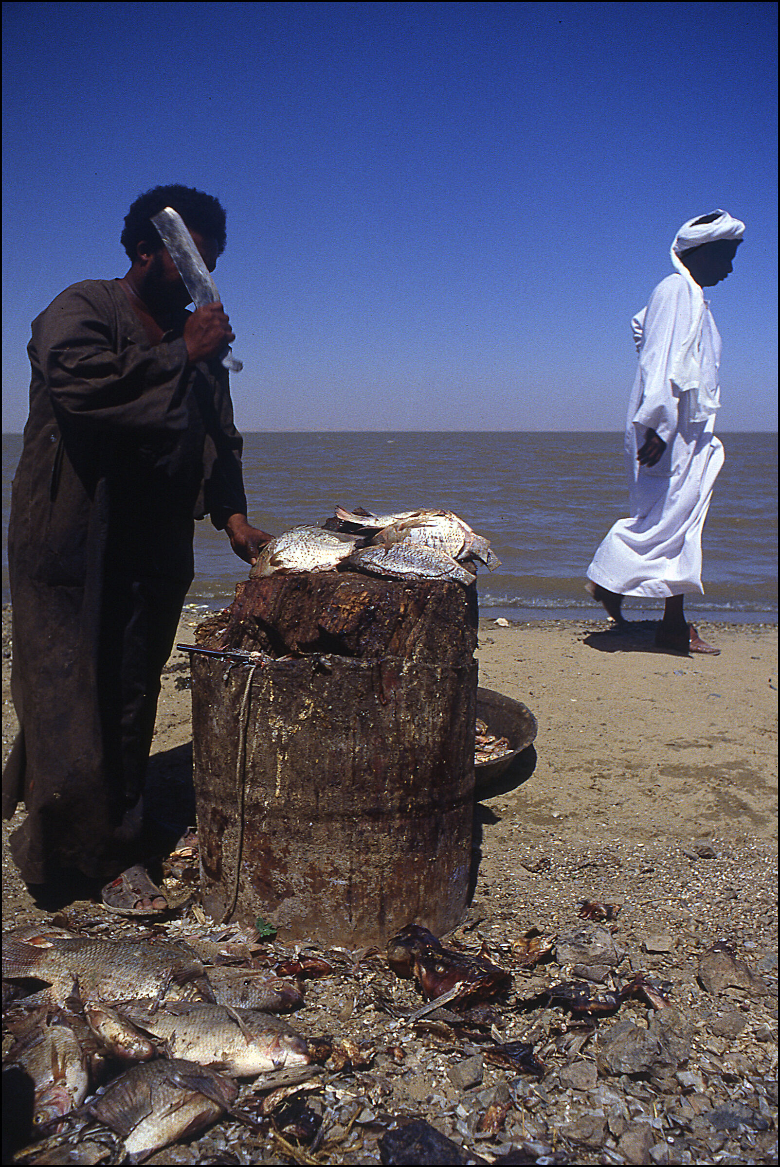 1984 - Sudan "lago Nasser"...