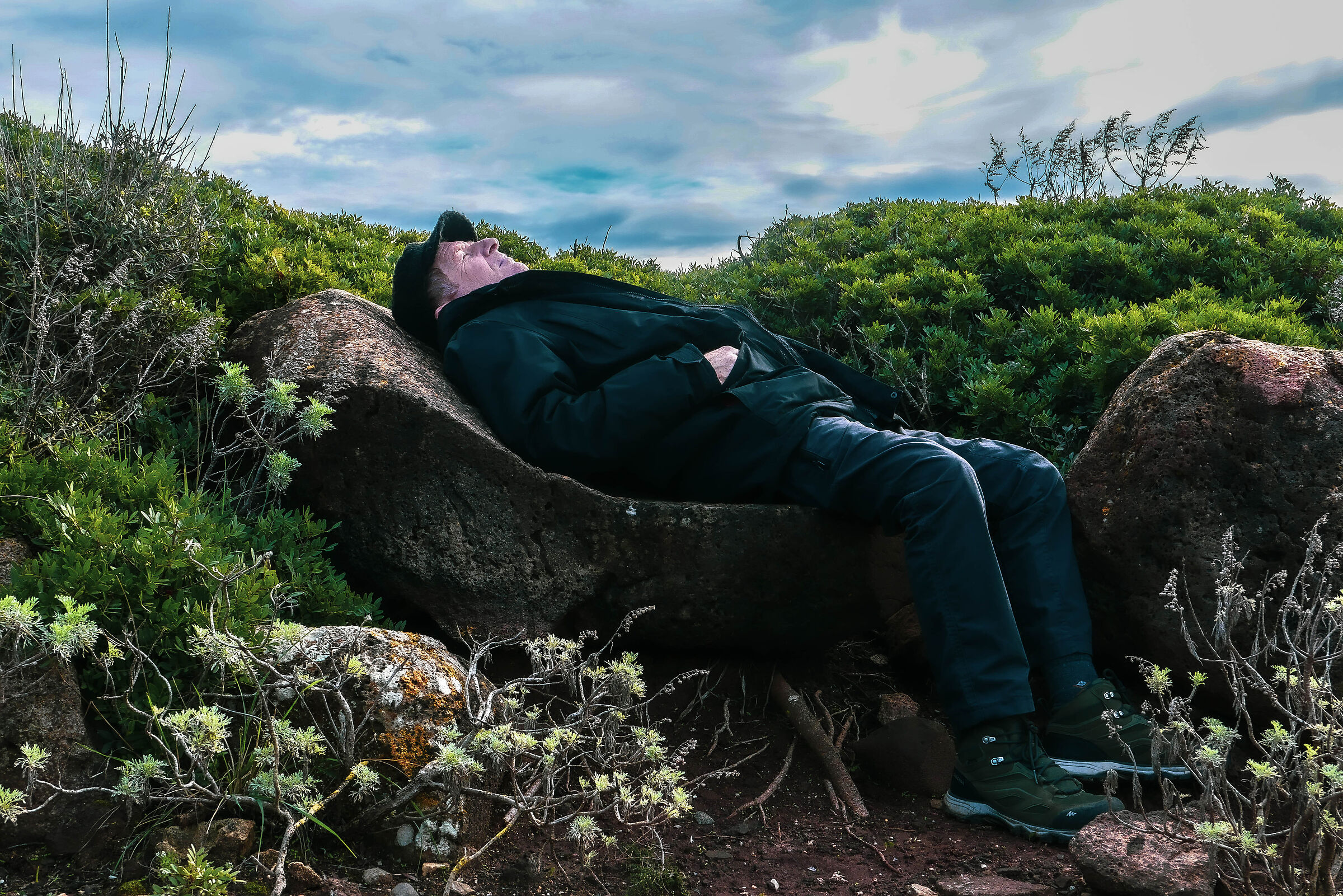Salvo sleeps on a rock...