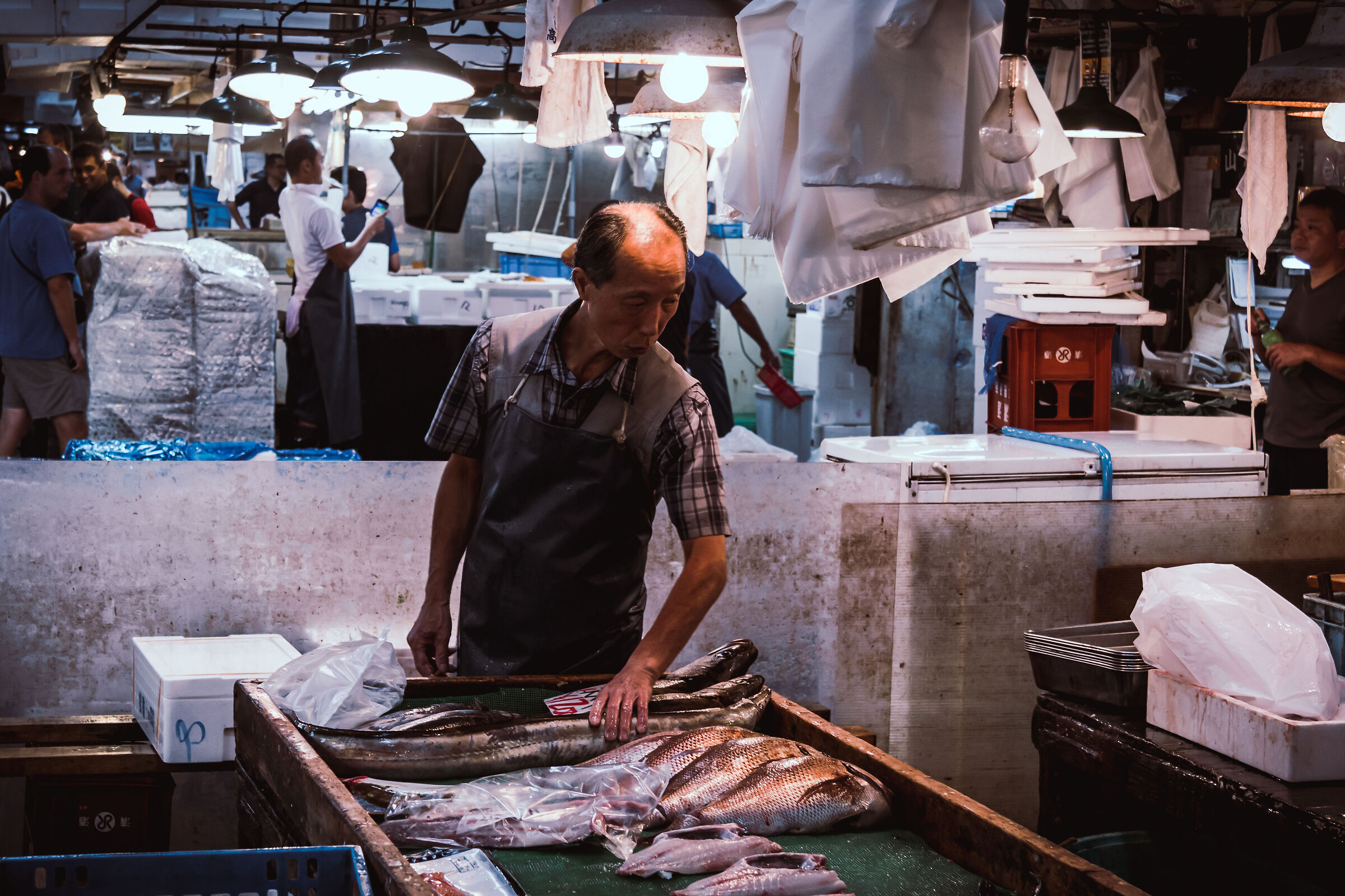Fish Market Tsukiji ...