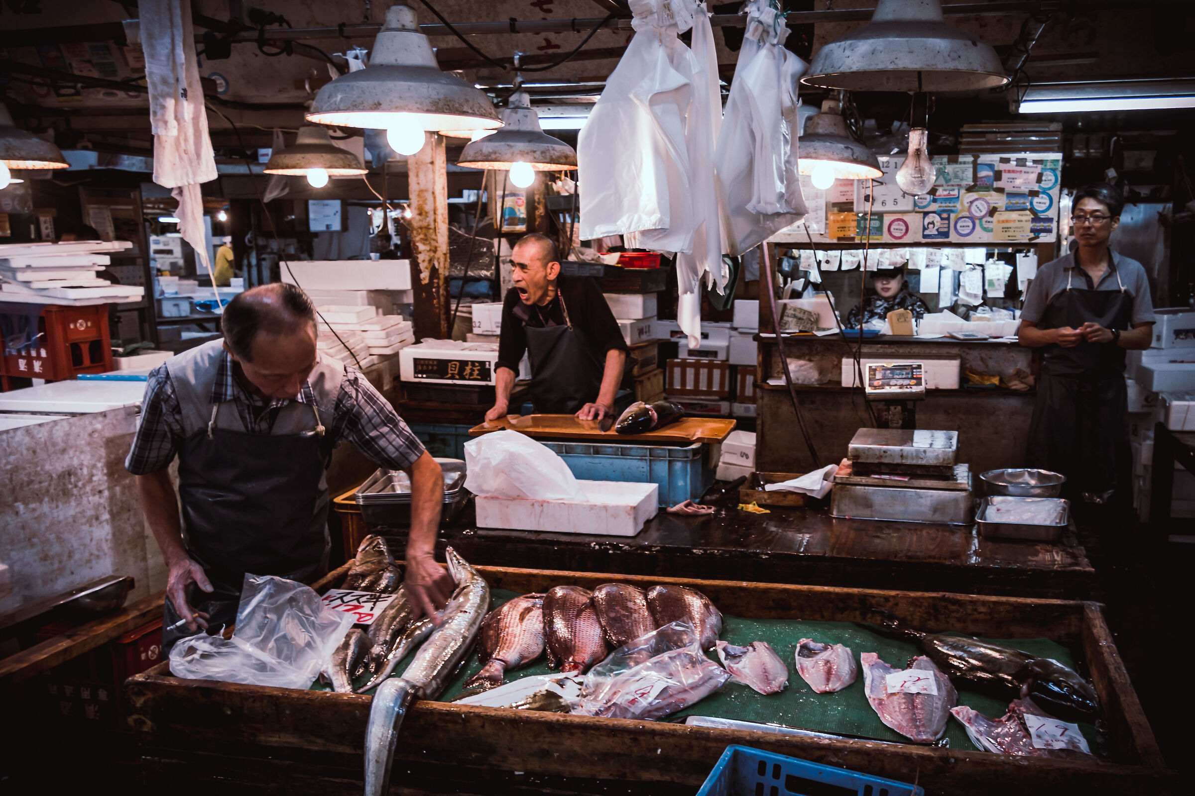Fish Market Tsukiji...