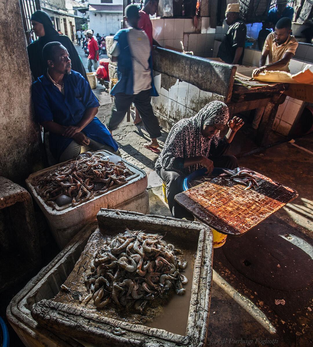 Al mercato del pesce di Stone Town (Zanzibar) - Gamberi...
