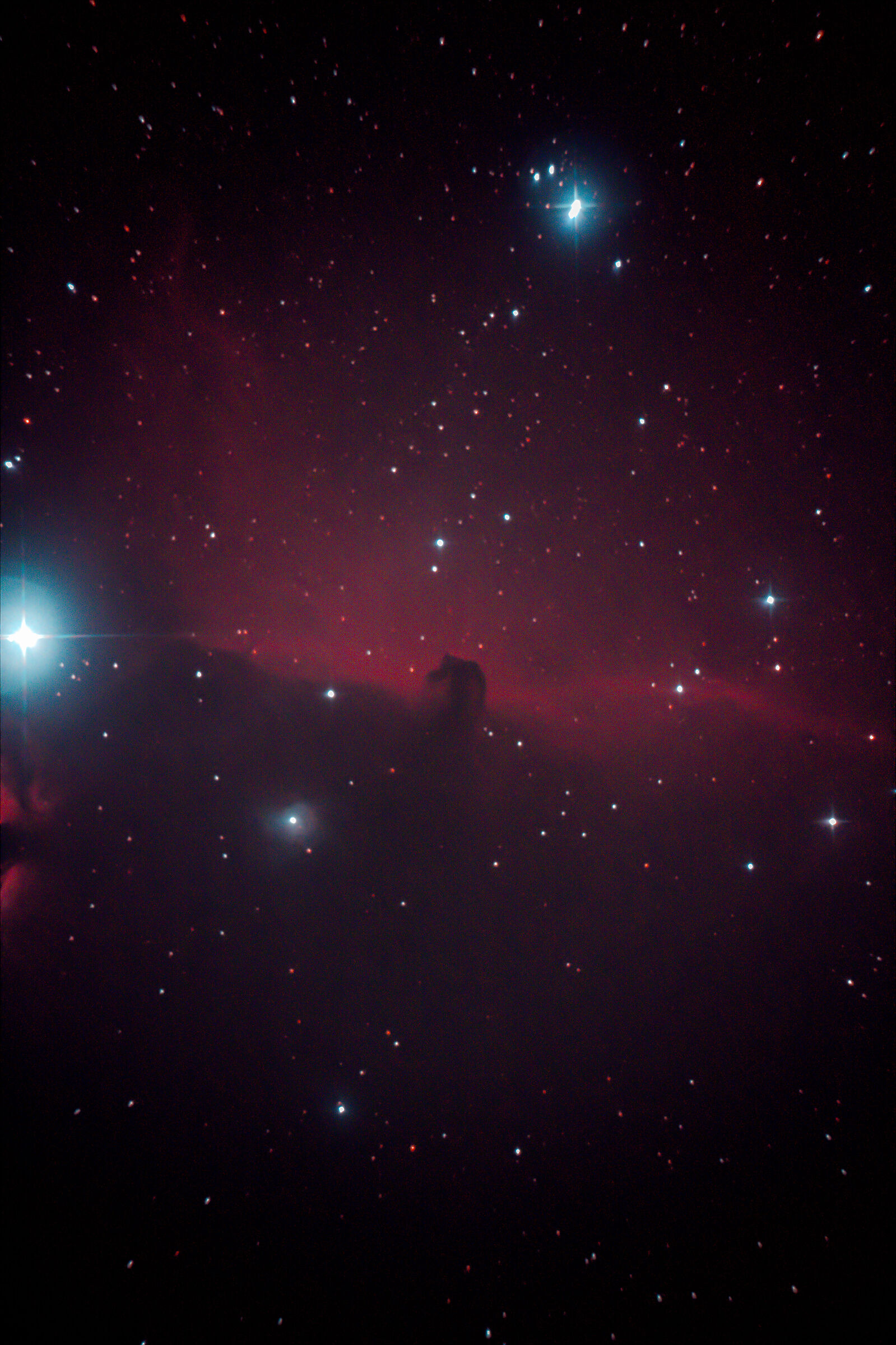 Nebulosa Testa di Cavallo...