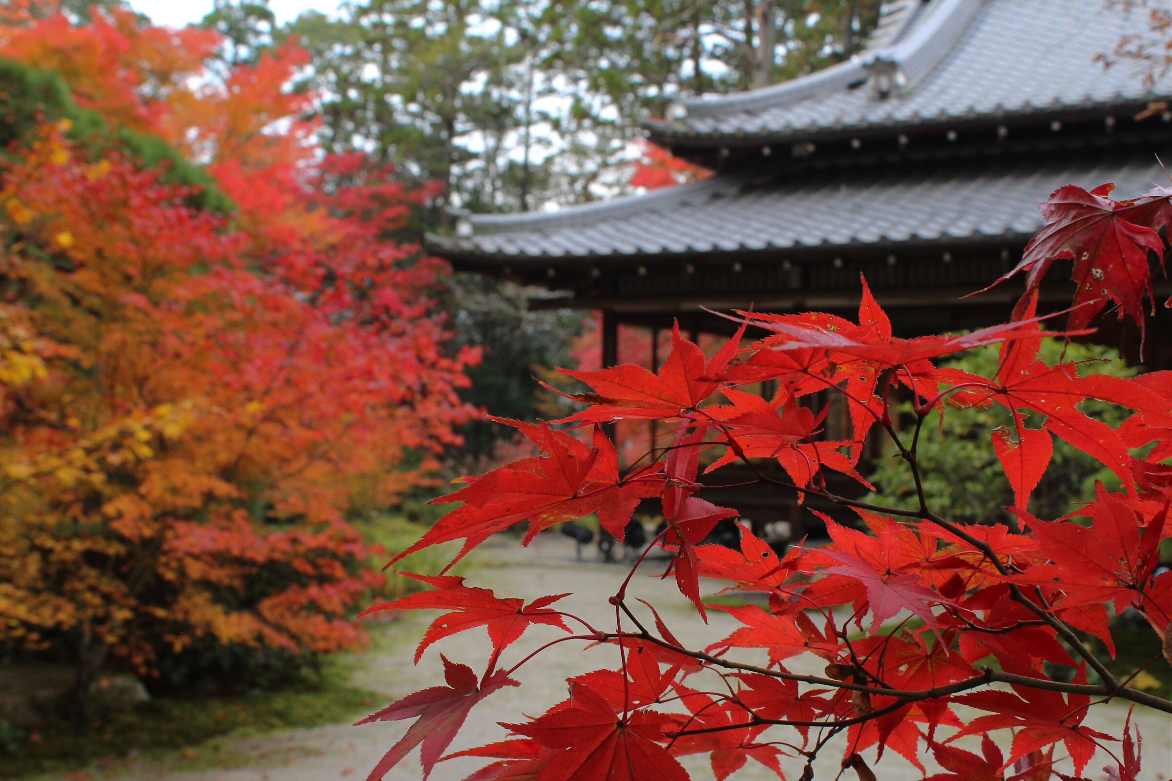 Nanzen-ji Temple, Kyoto...