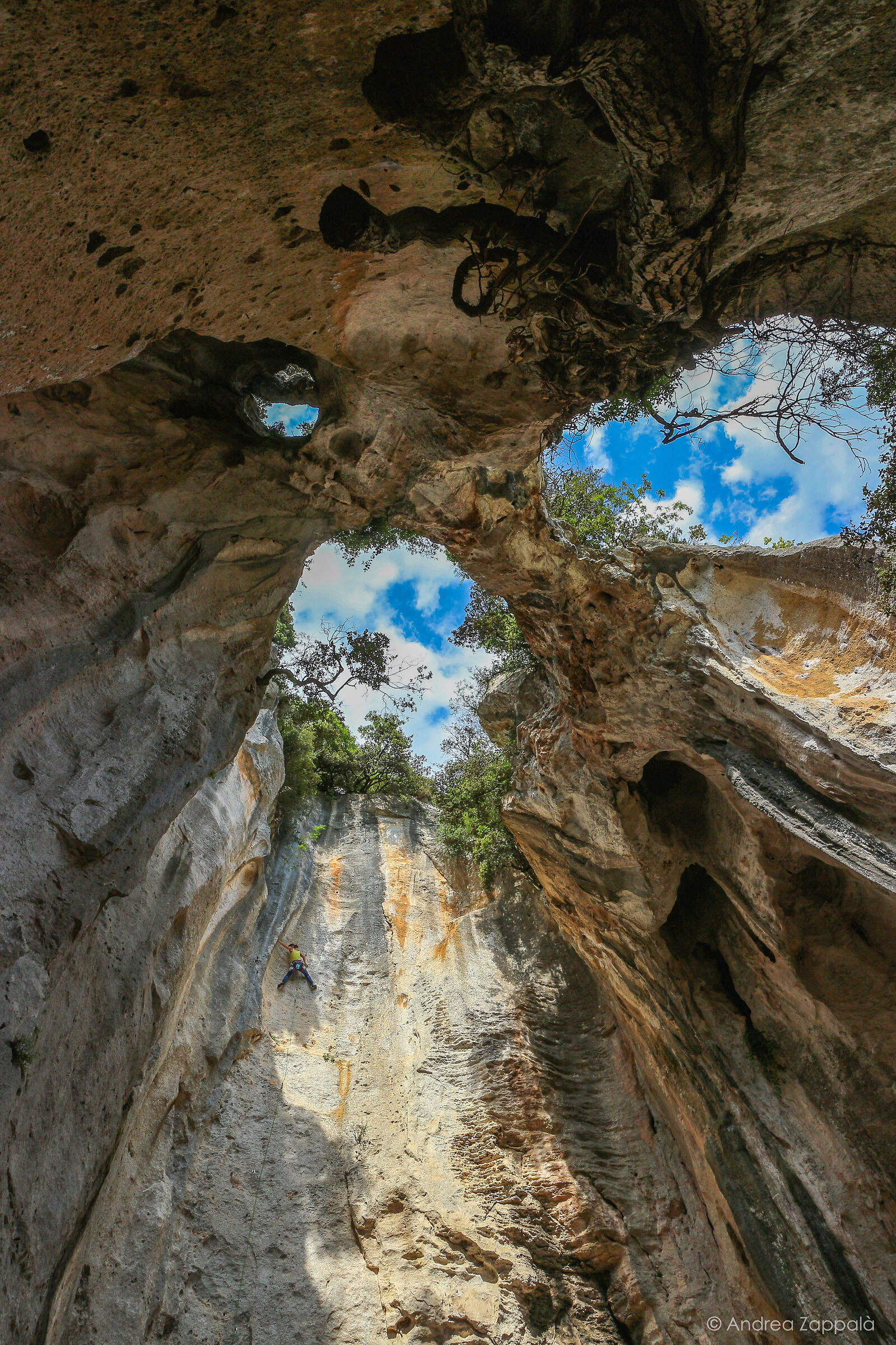 Ivy Cave 3...