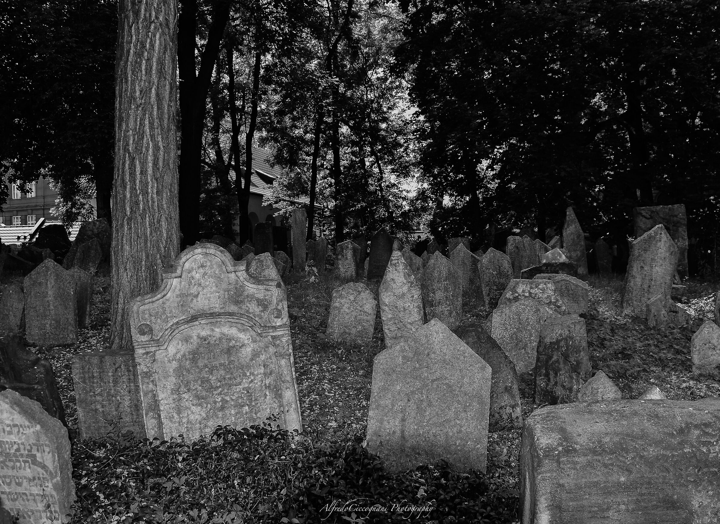 Jewish Cemetery ...