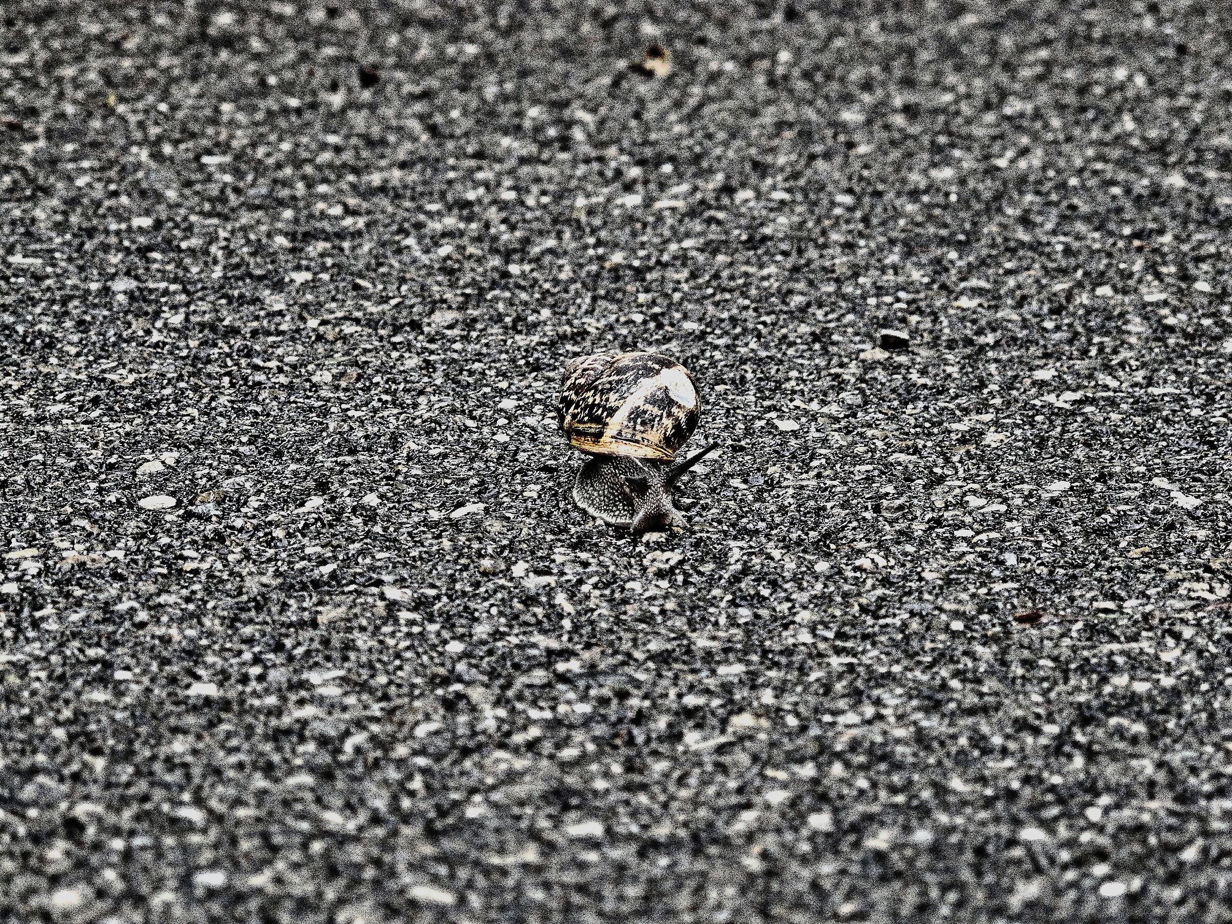 walking slowly...