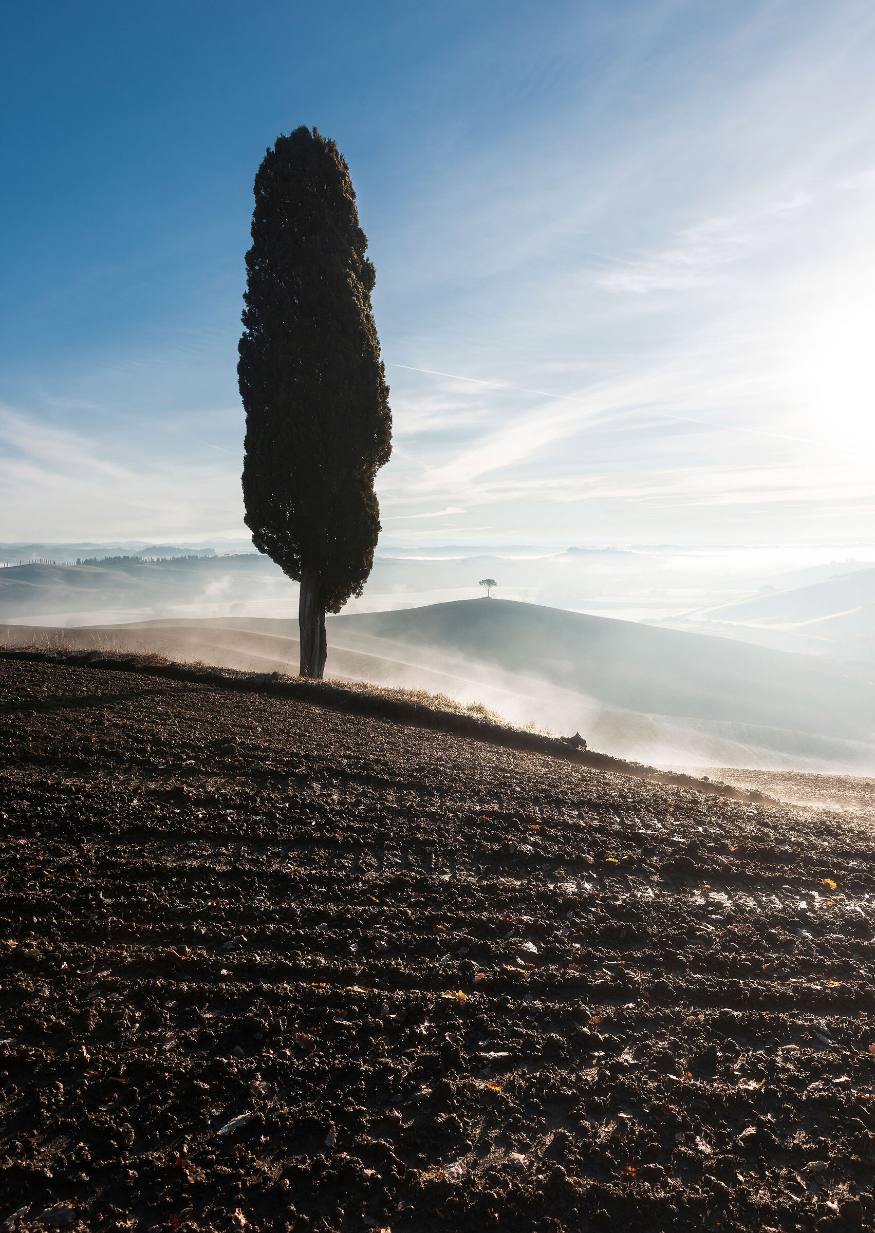 Misty Tuscan morning...