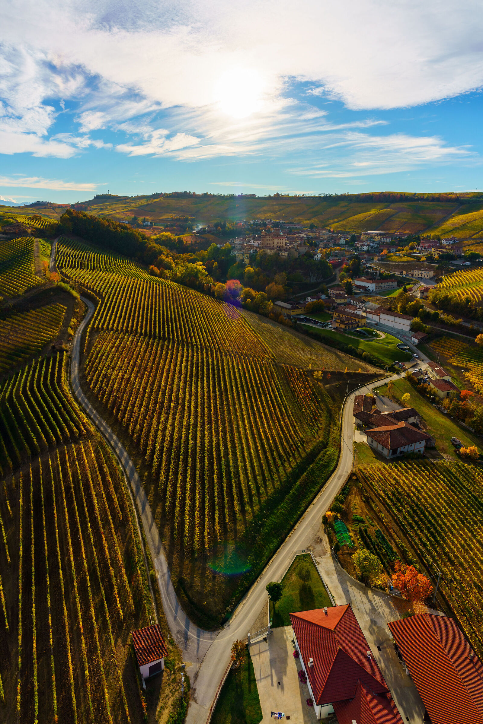 Langhe from the hot air balloon ...