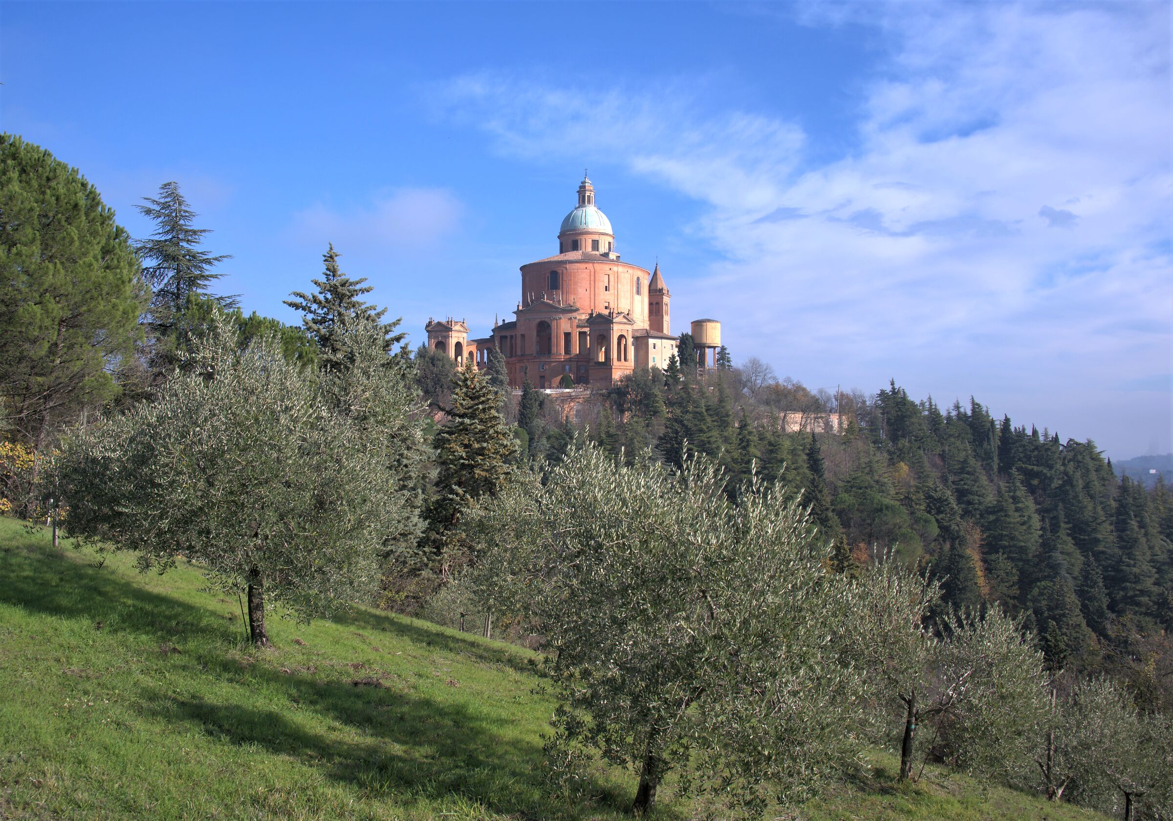 san luca among the olive trees...