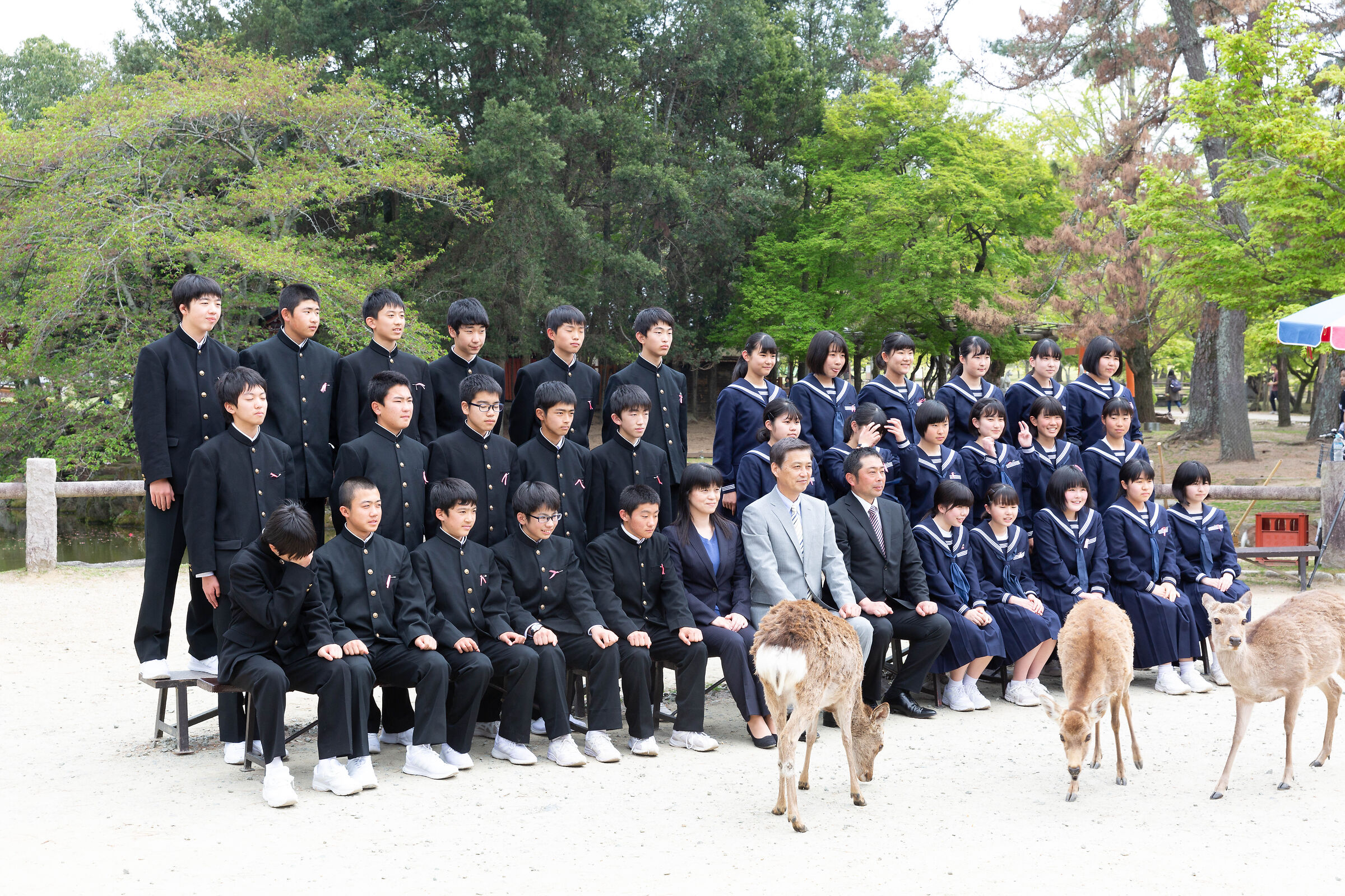 nara .japan...