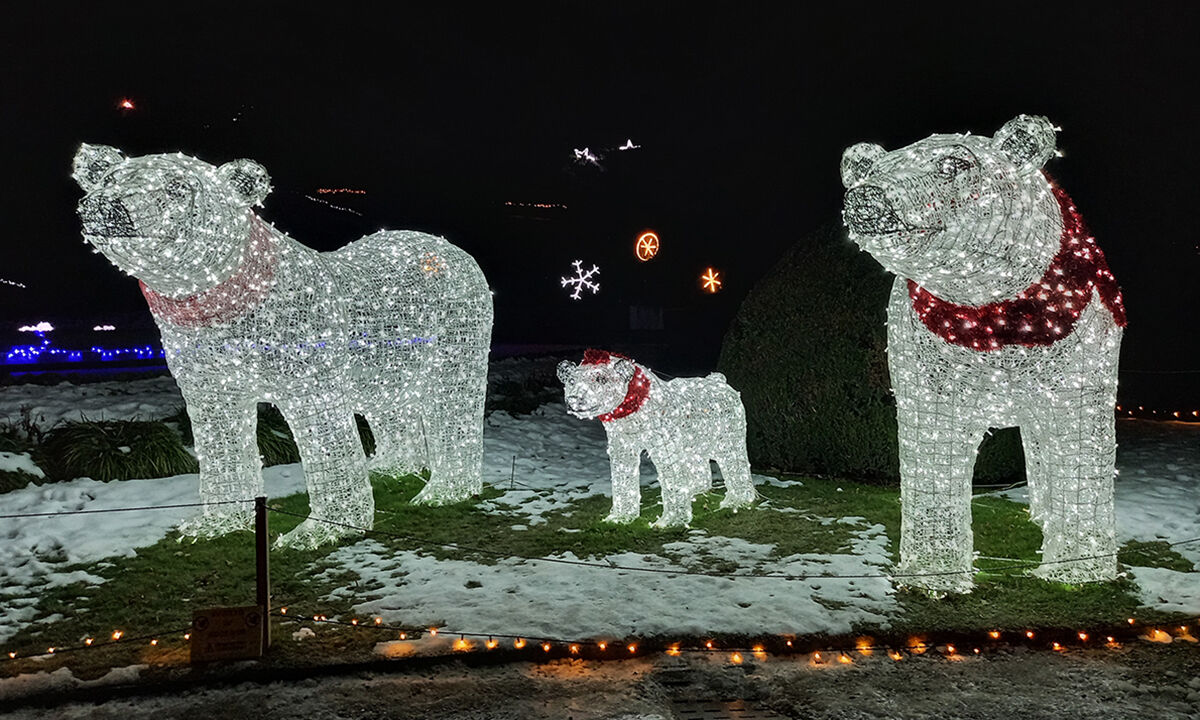Christmas lights in Varese - The bear family....