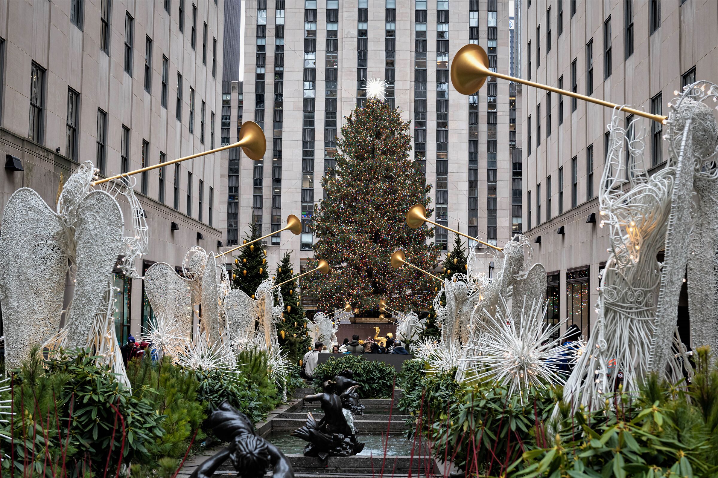 Christmas tree at Rockefeller Center...