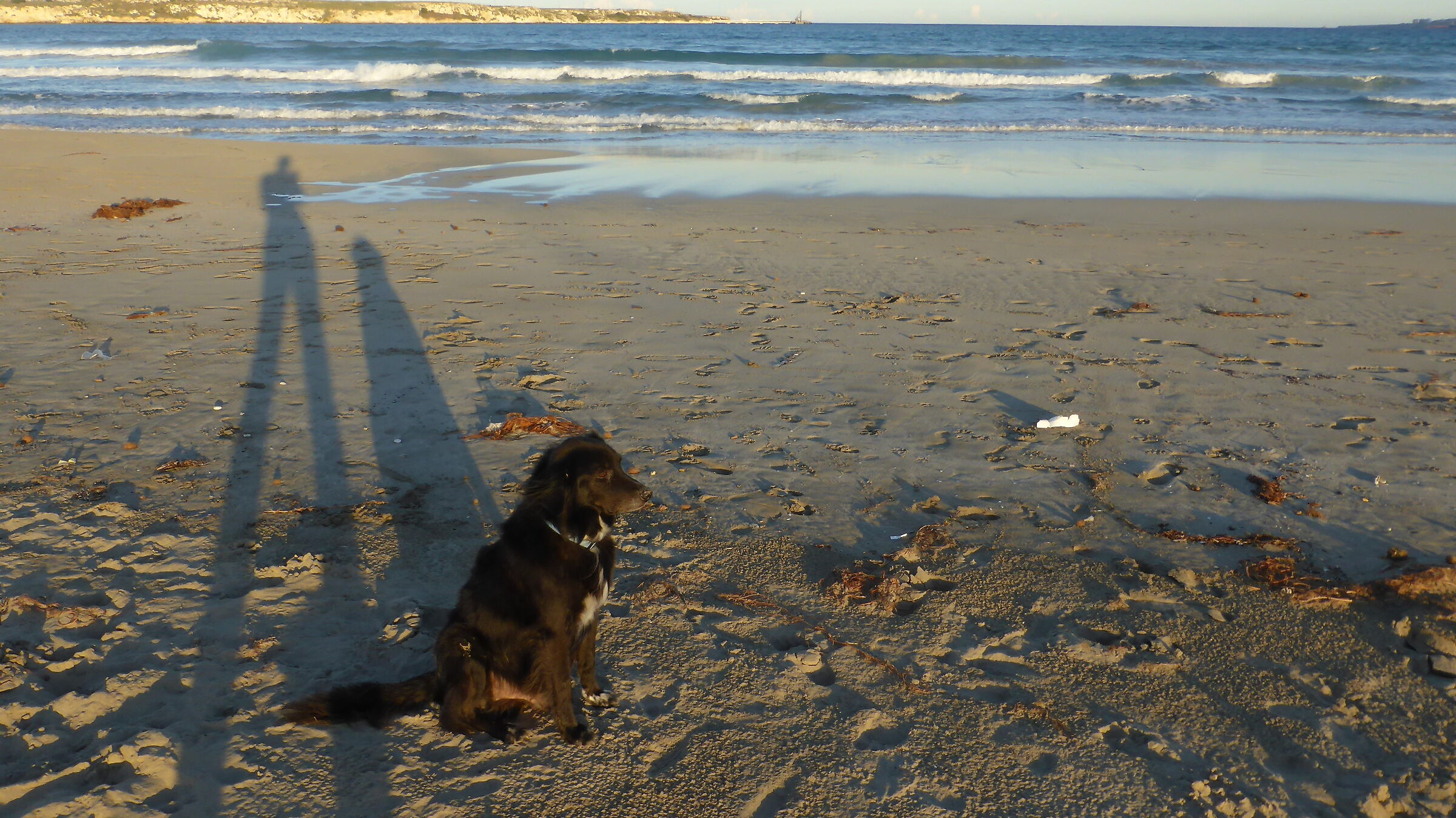true shadow...