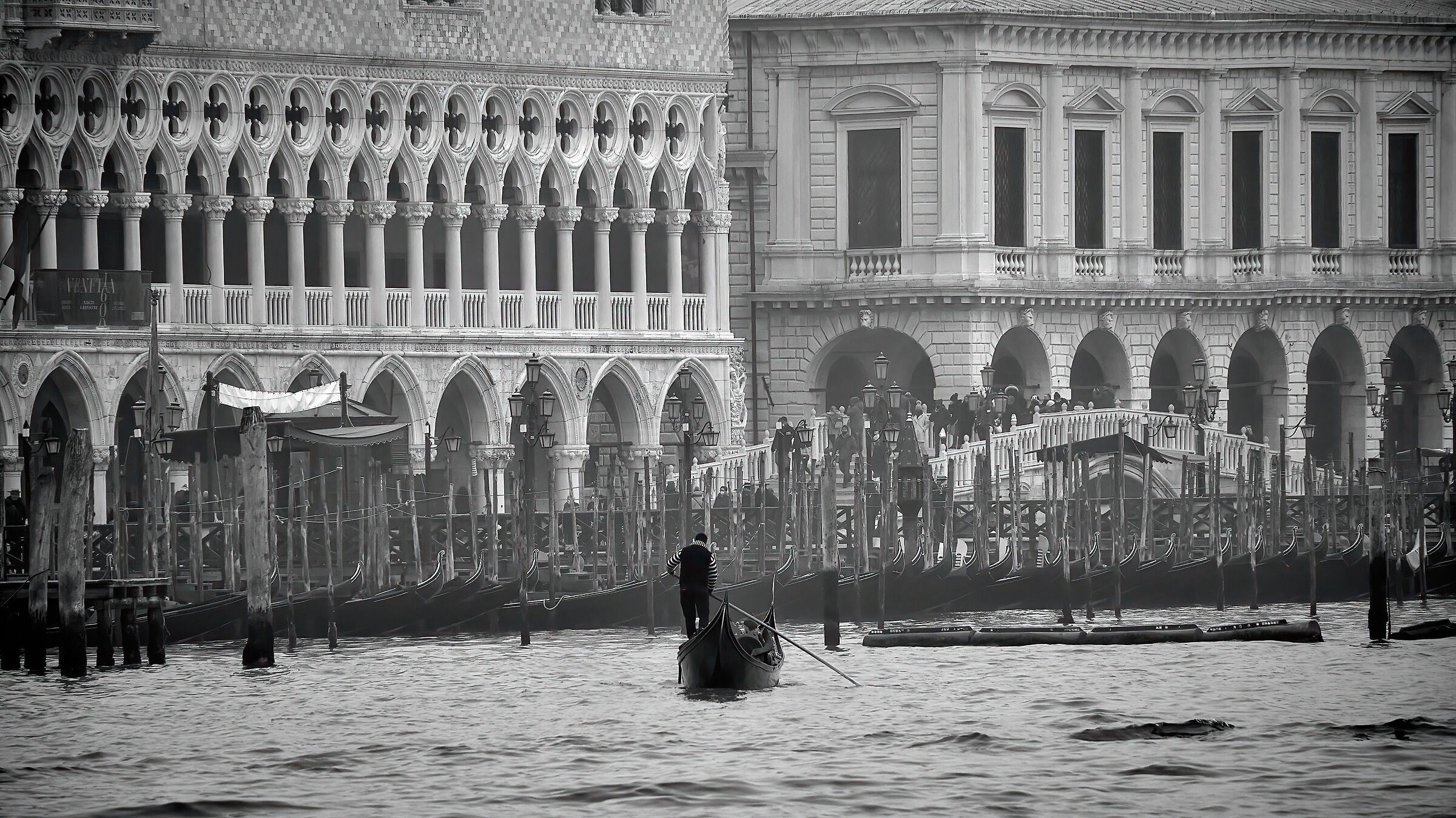 venezia da punta della dogana...
