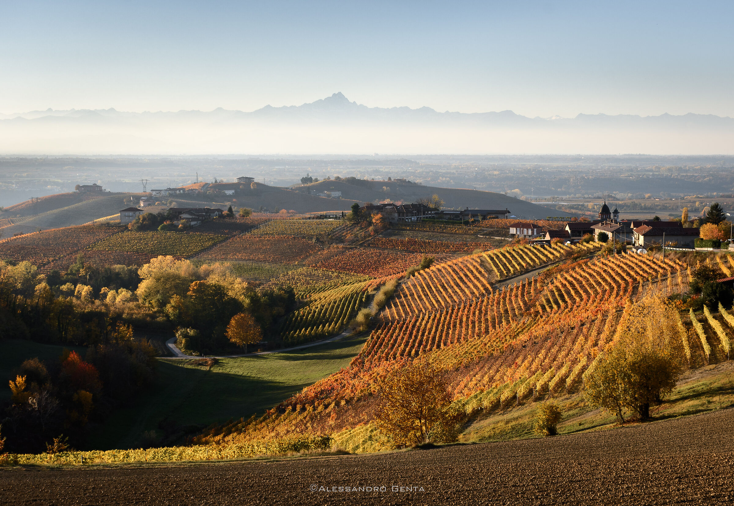 Langhe (Italy)...