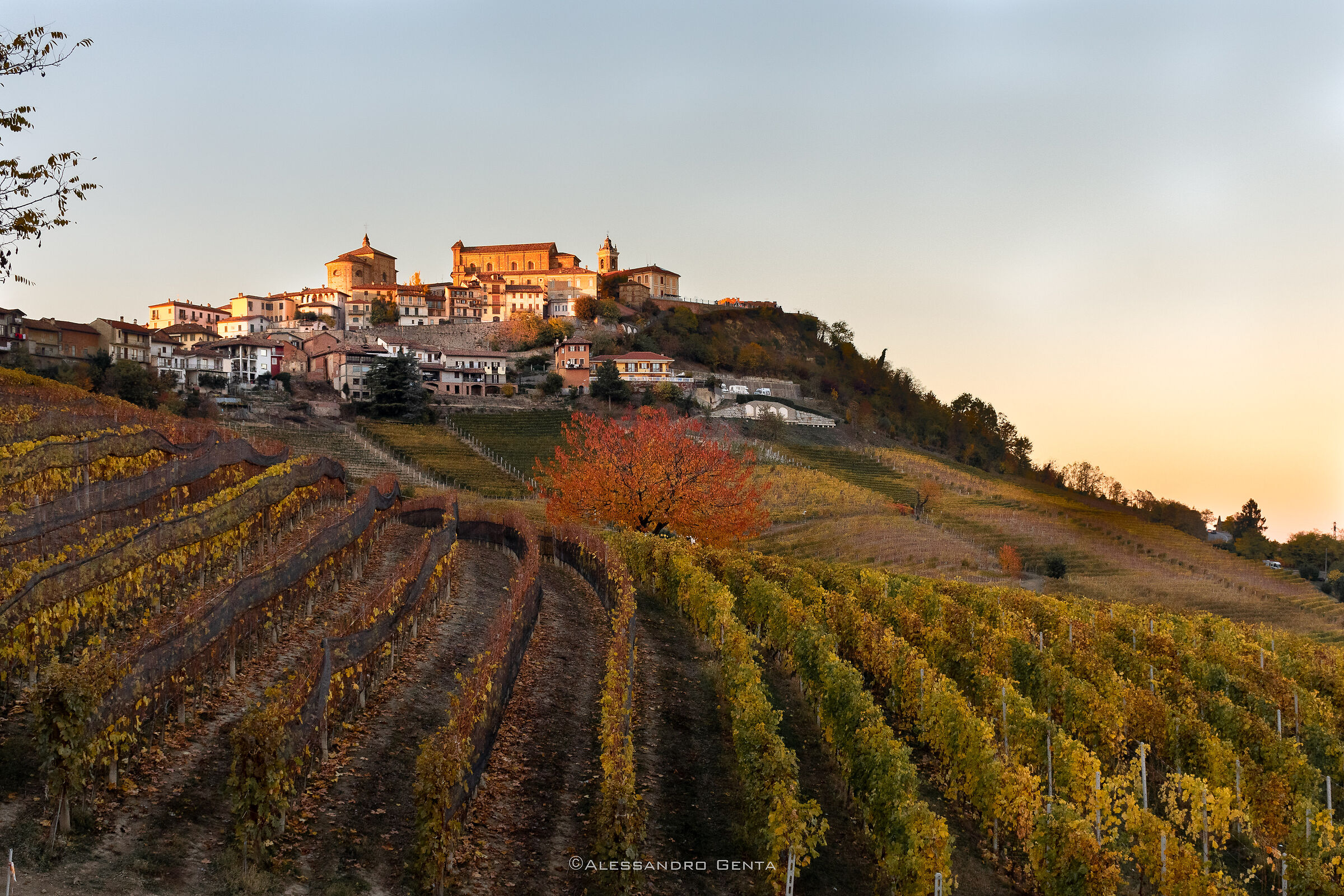 Langhe (Italy)...