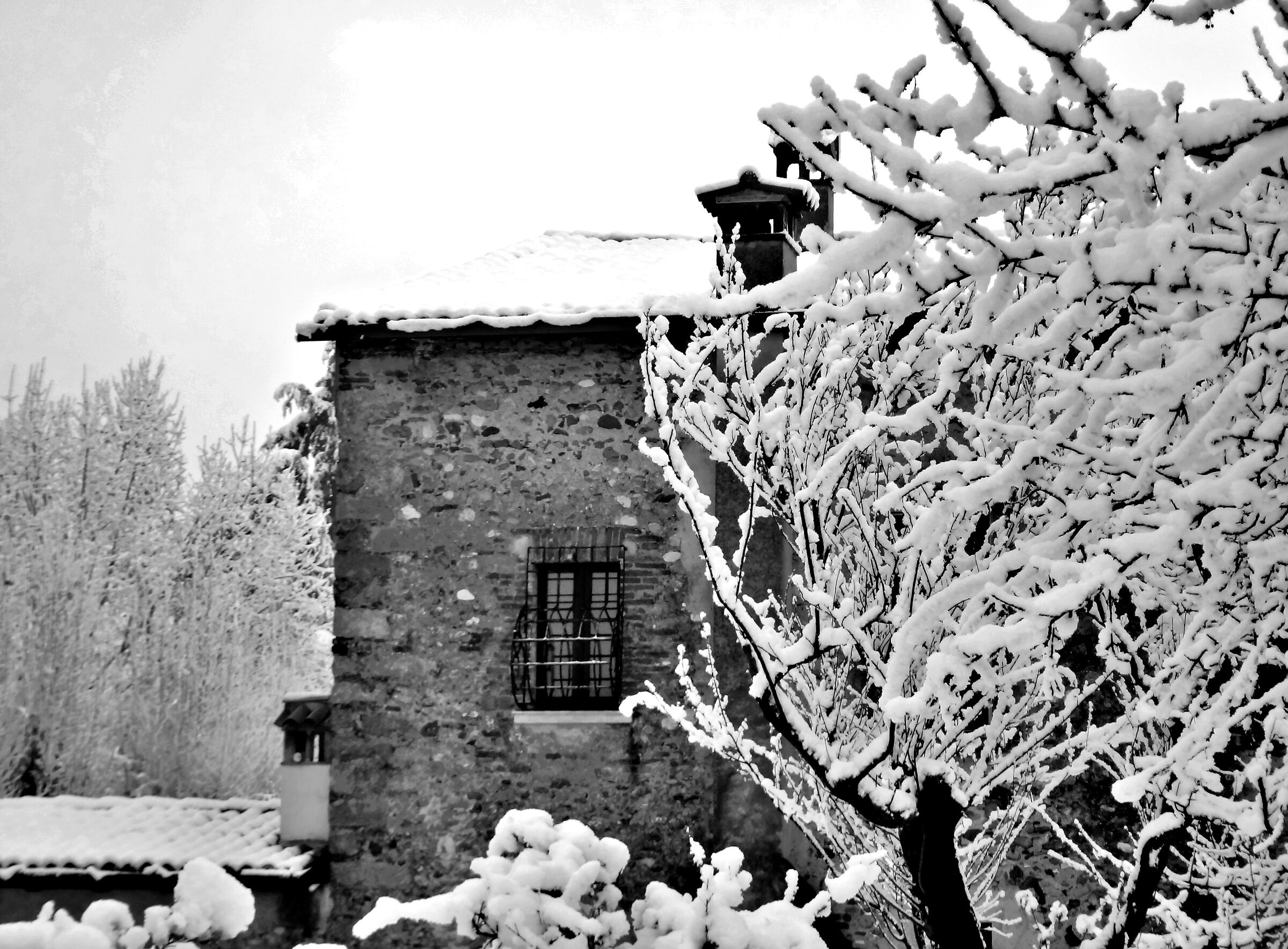 House immersed in winter...