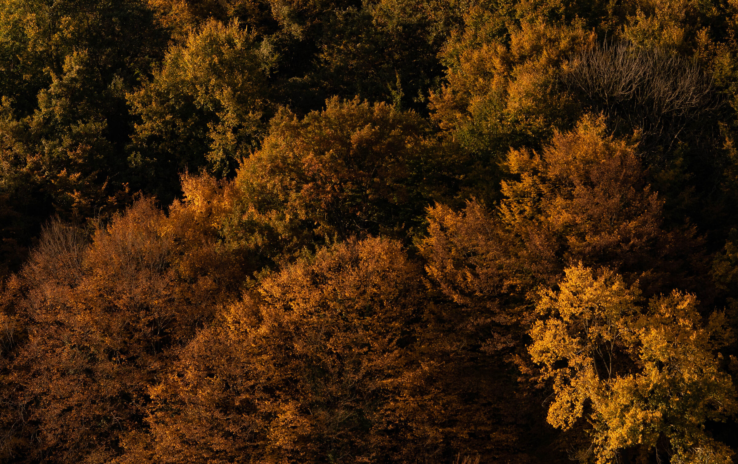Untitled Photo...