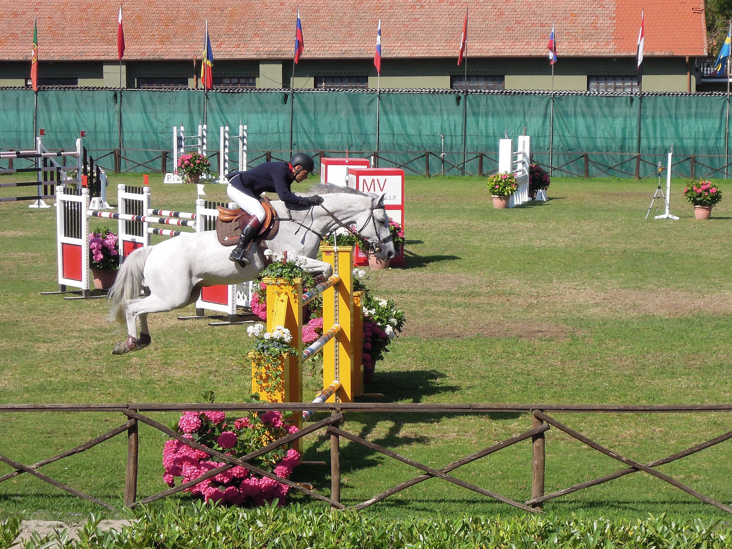 Sanremo Equestrian Competition...