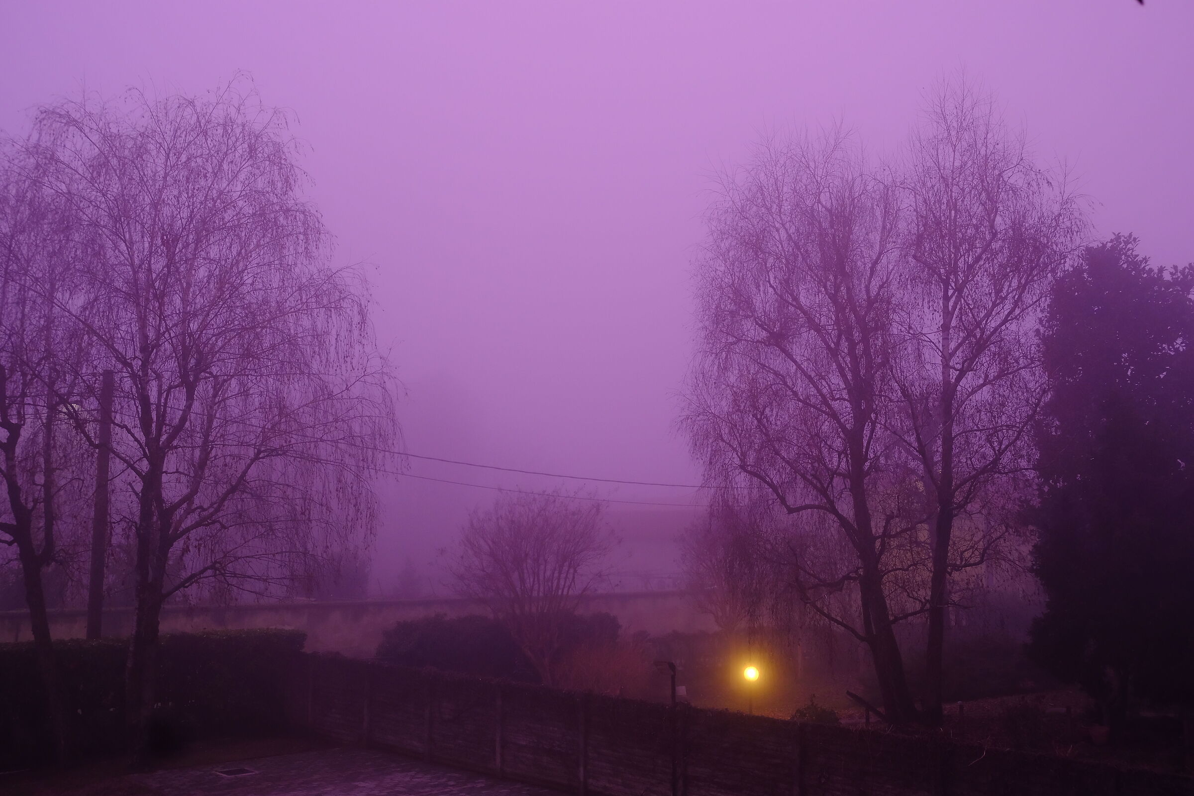 l' arrivo della nebbia - Violet sky...