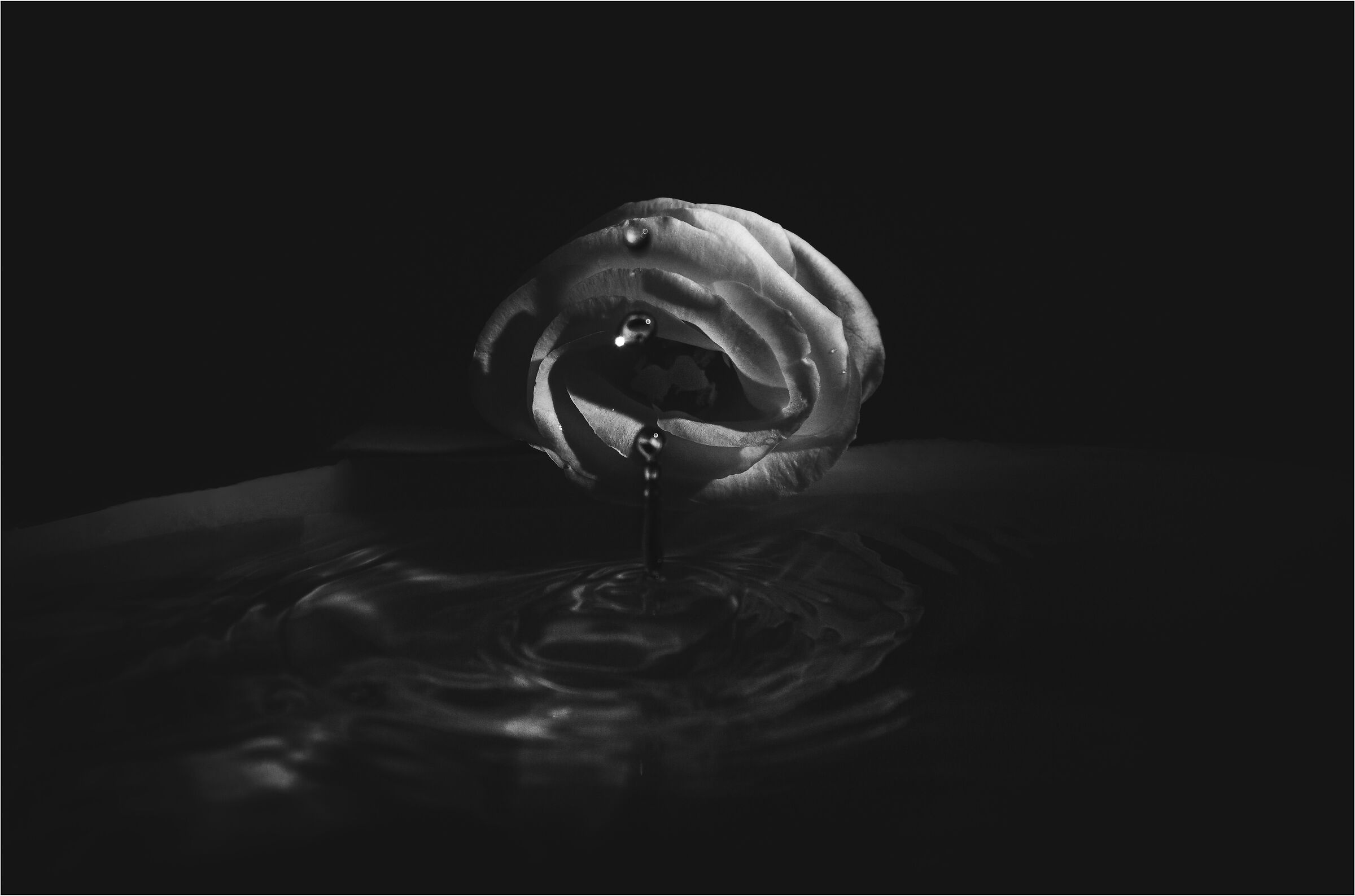 Pink, drop...