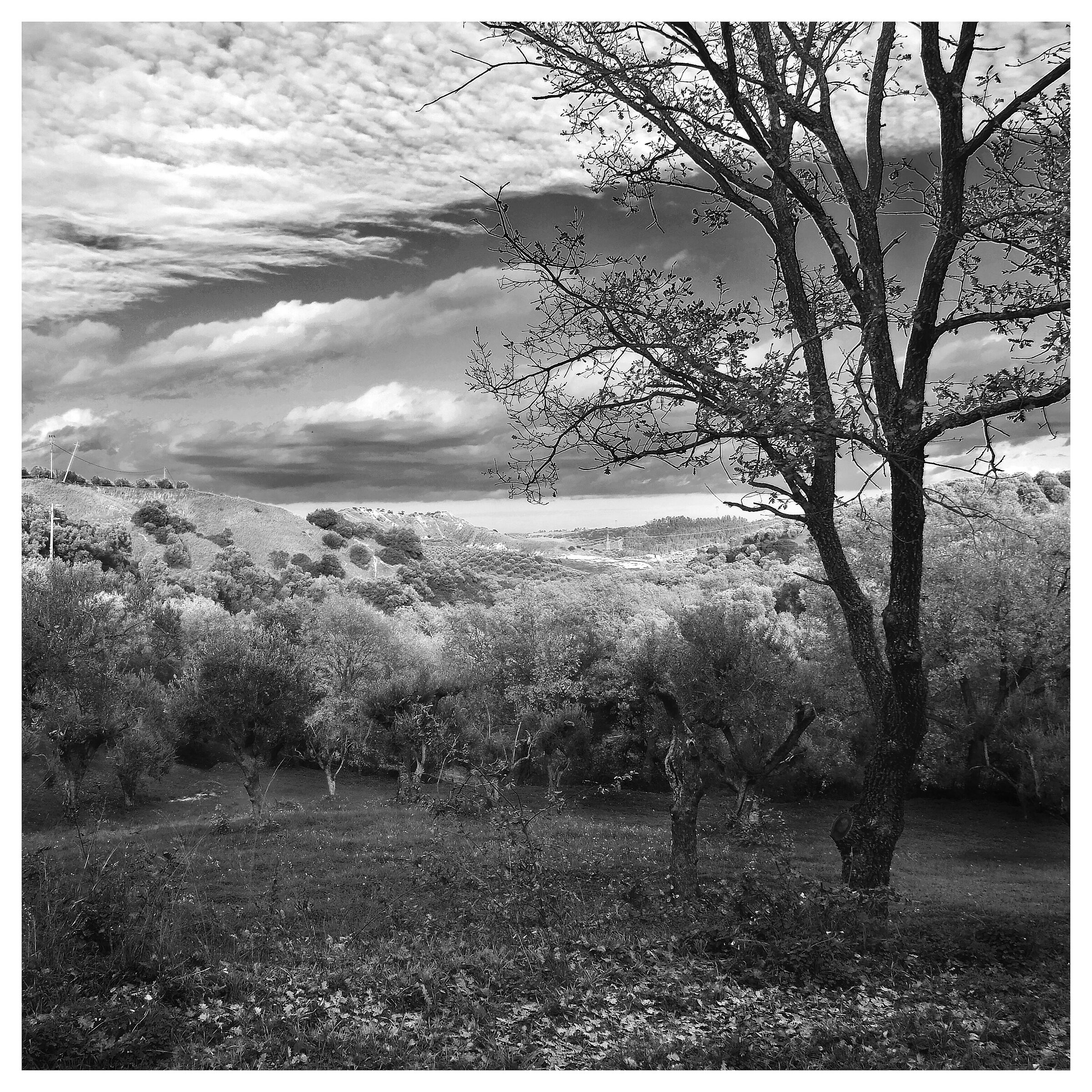 view from the hills of San Cosmo Albanese (CS)...