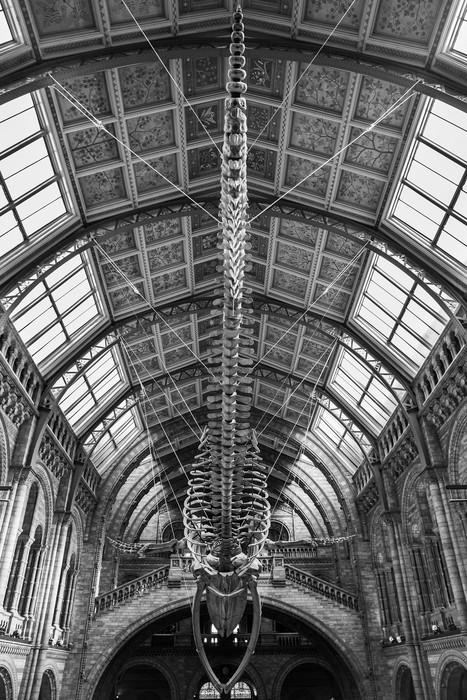 London - Natural History Museum...