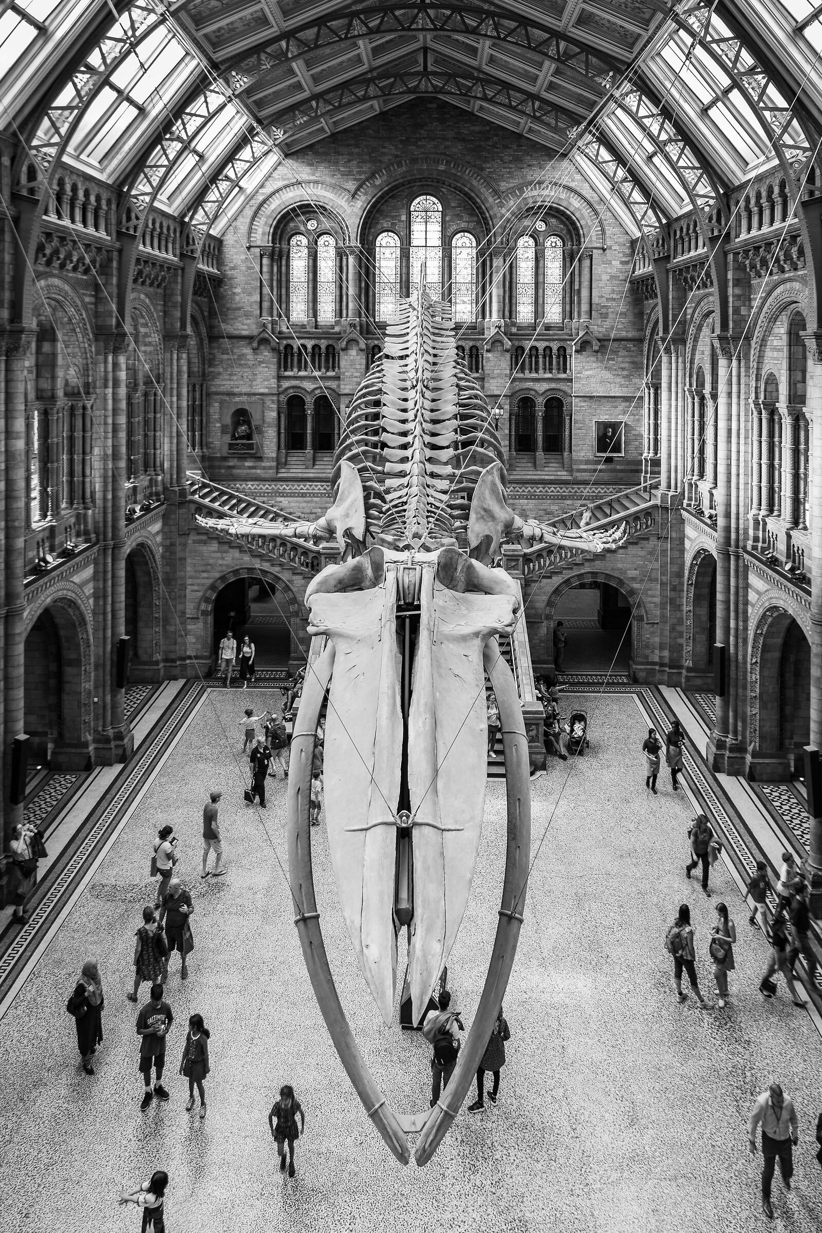London - Natural History Museum...