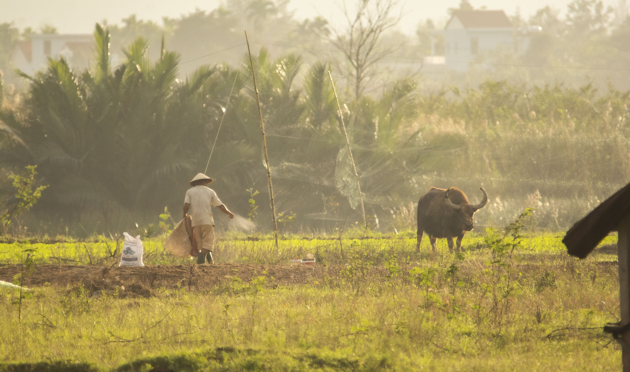Countryside life - Vietnam...