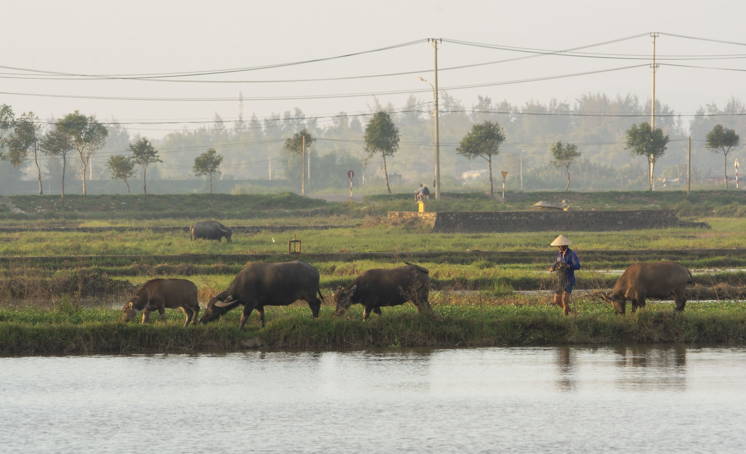 Countryside life - Vietnam...