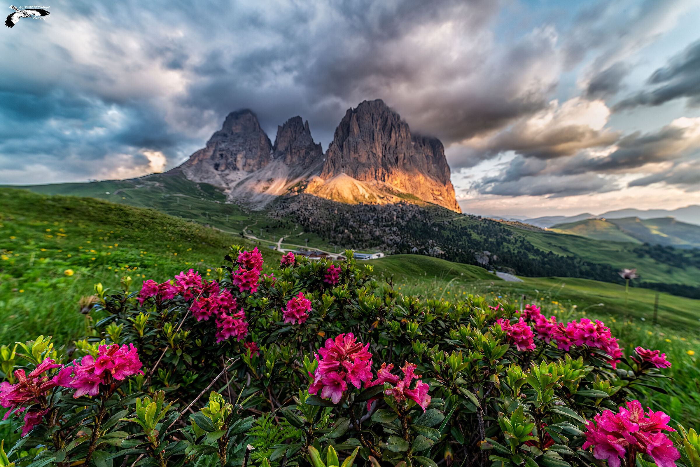 Rhododendrons to Passo Sella...