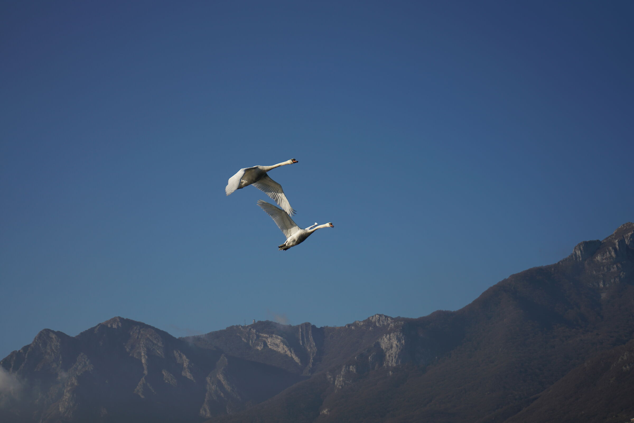 Lake Lecco January 2022...