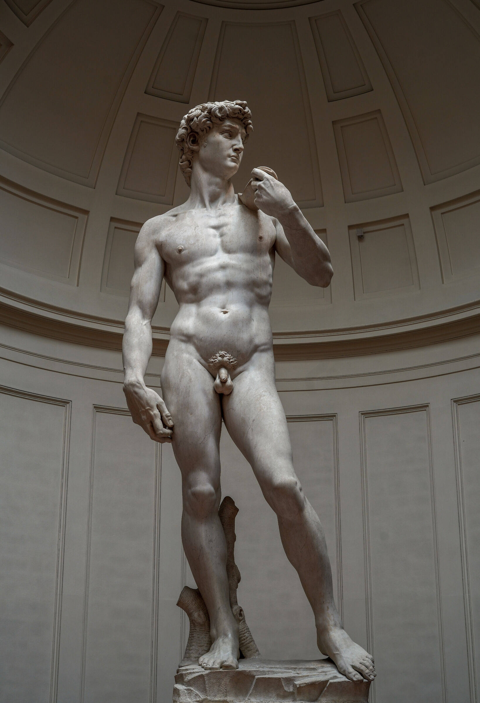 David - Michelangelo ...