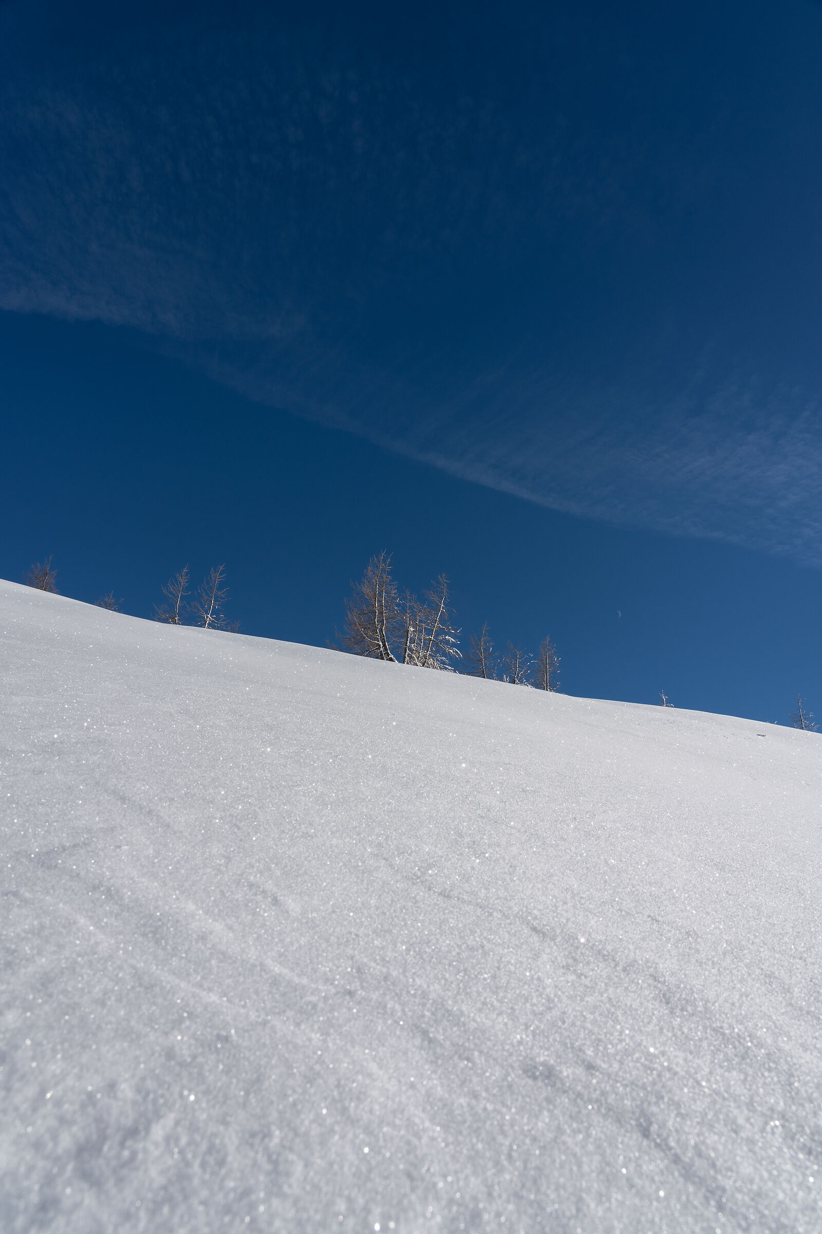 Neve e cielo (Val Campelle - Trentino - Italia)...