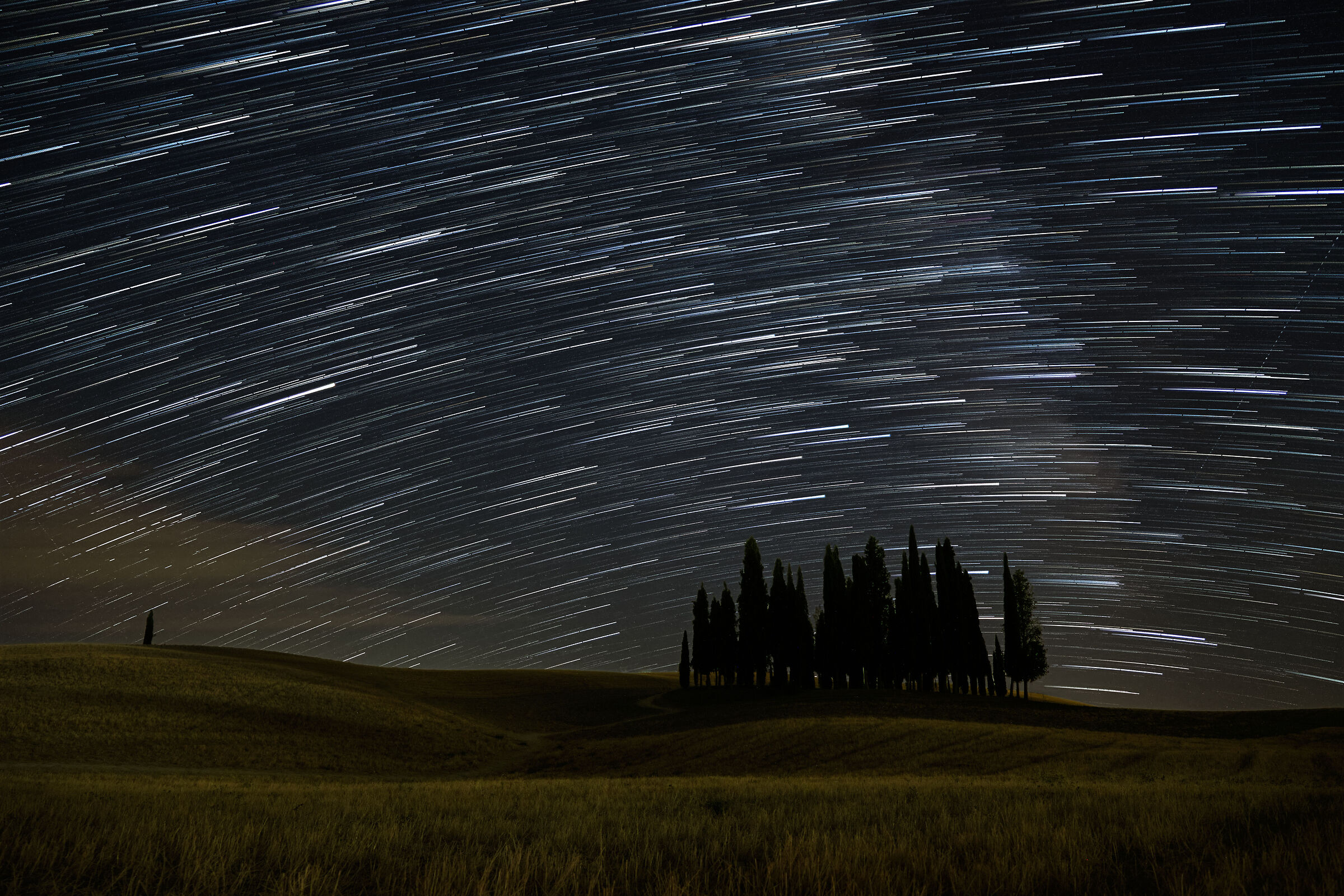 Cypresses and Stars...