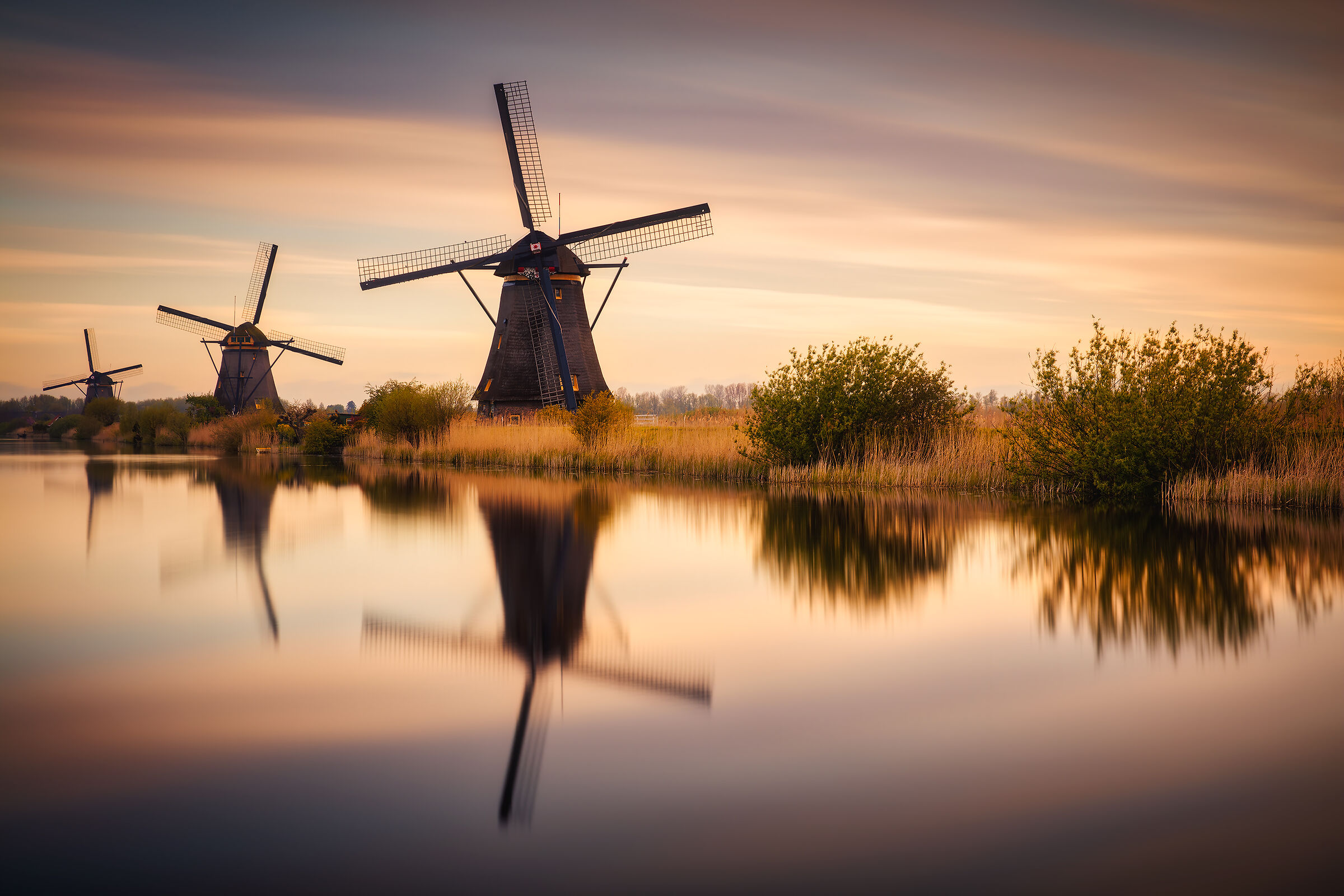 Holland' reflections...