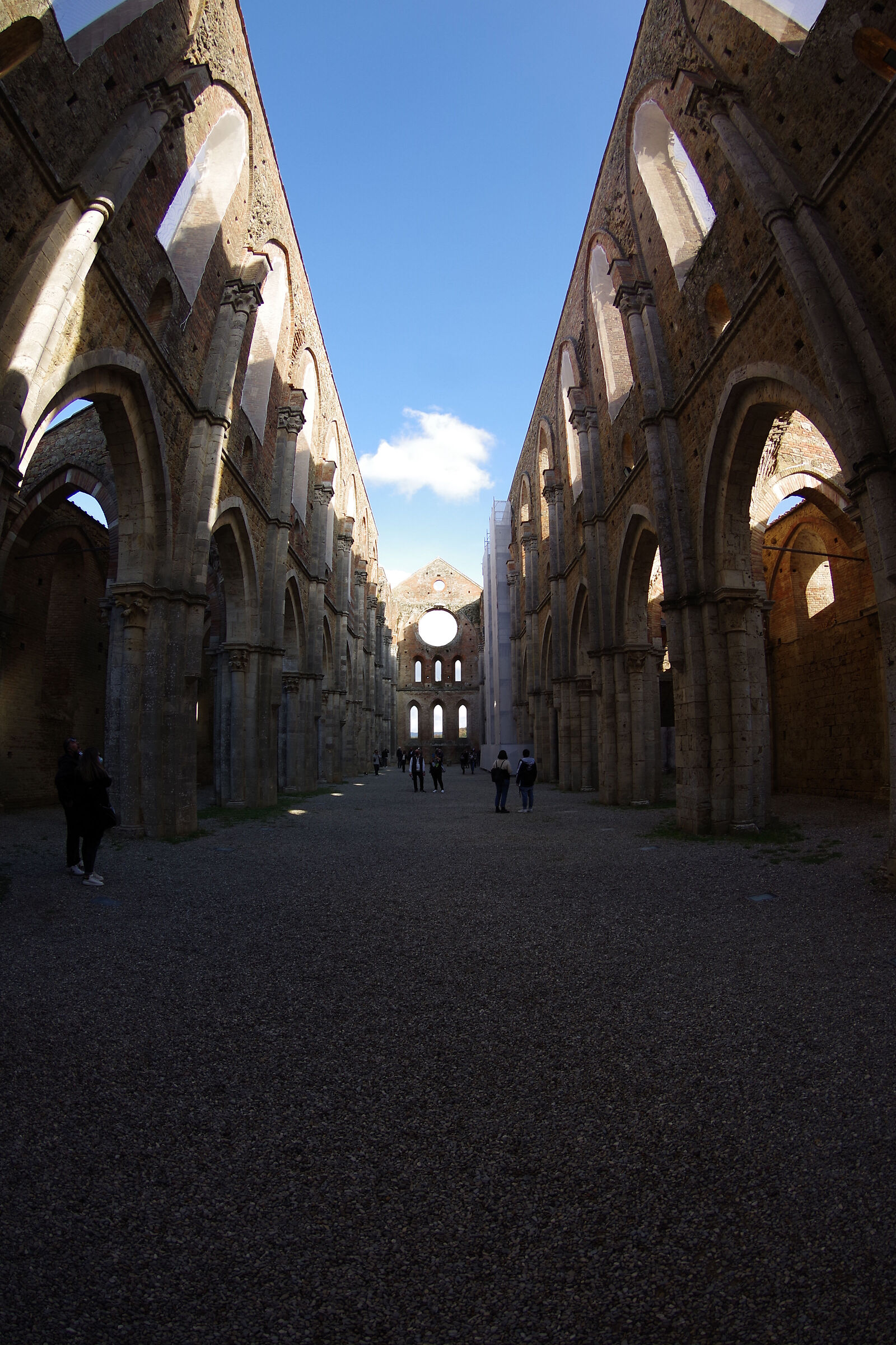 Abbey of San Galgano (Siena)...