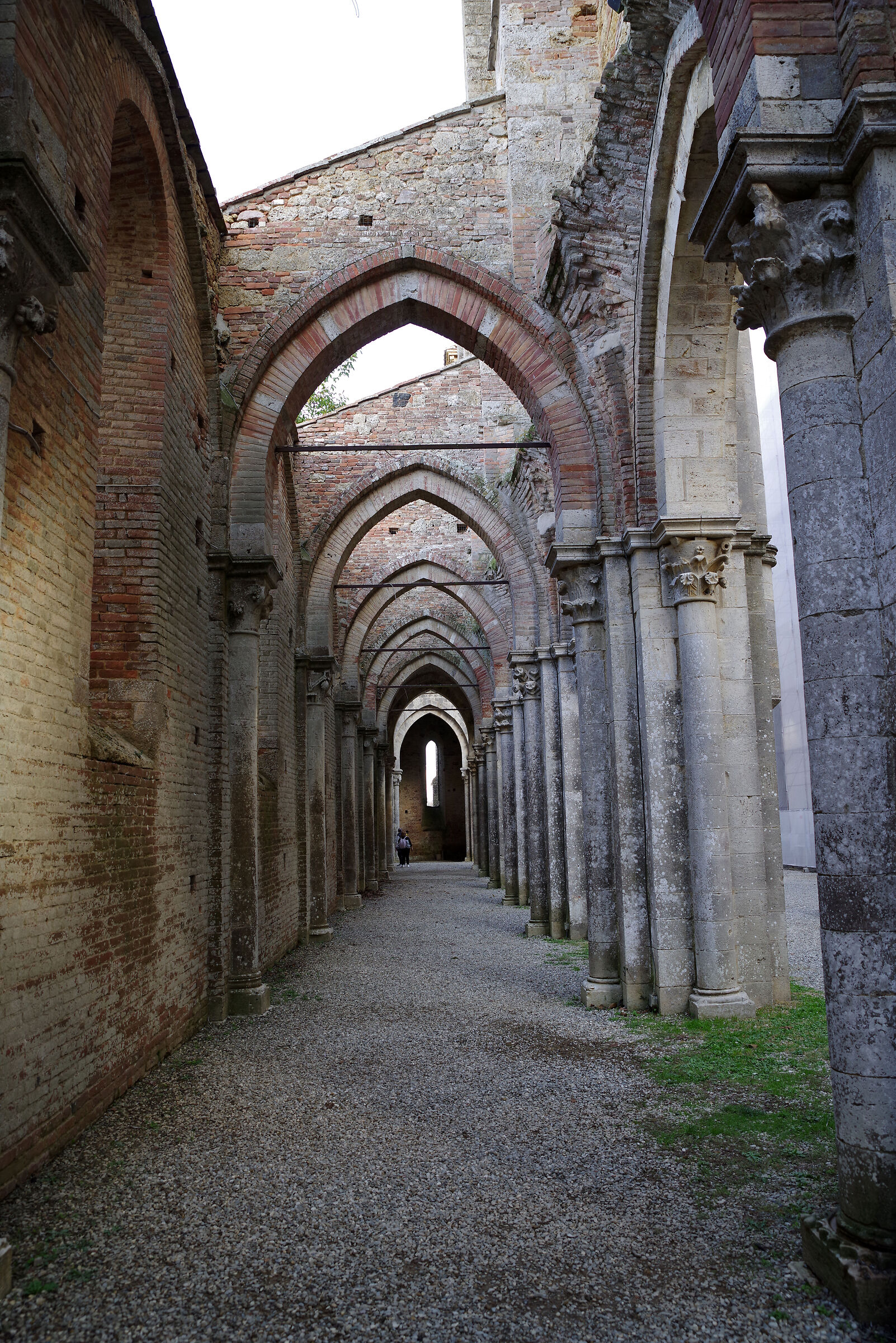 Abbazia di San Galgano (Siena)...