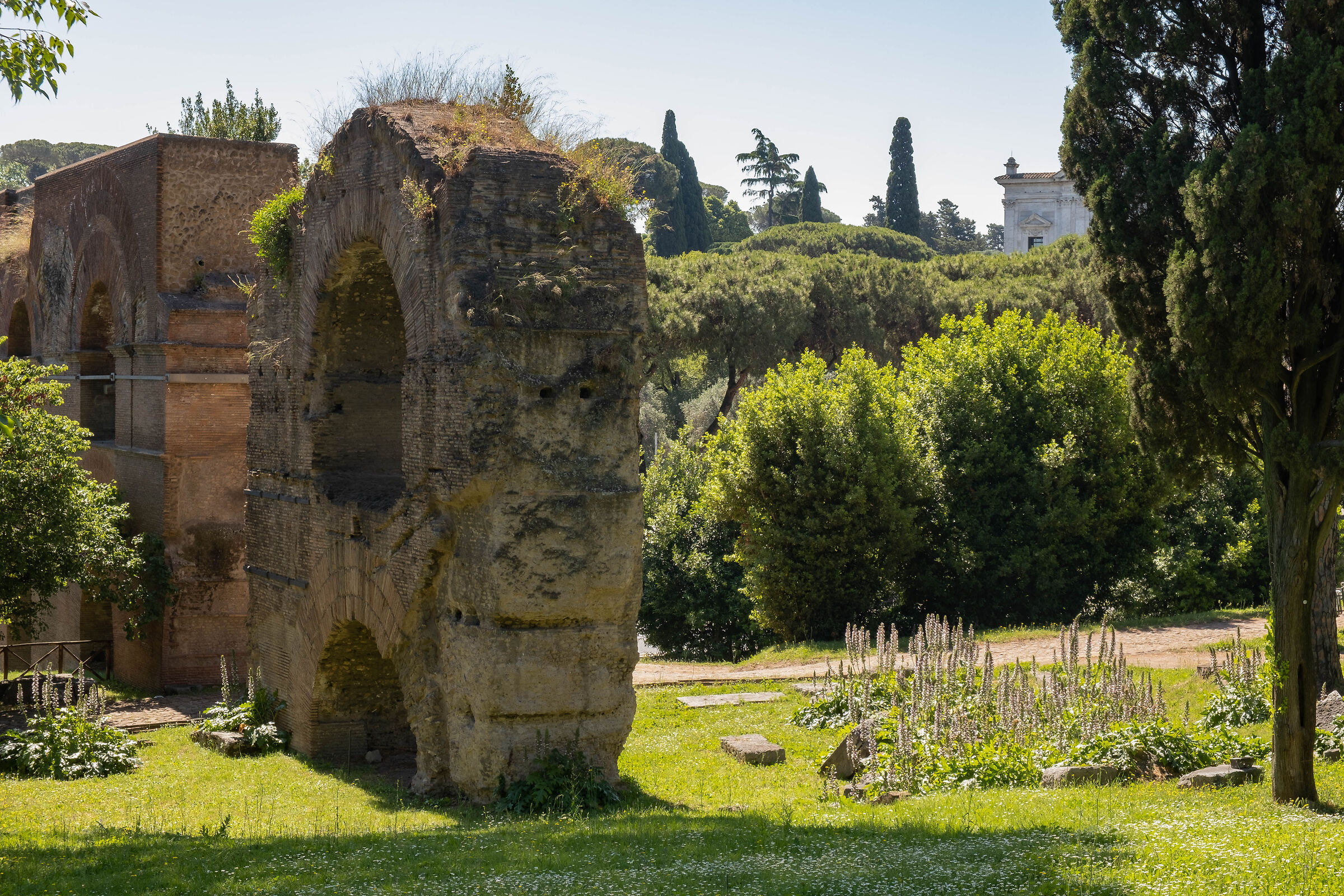 Pendici Meridionali del Palatino...