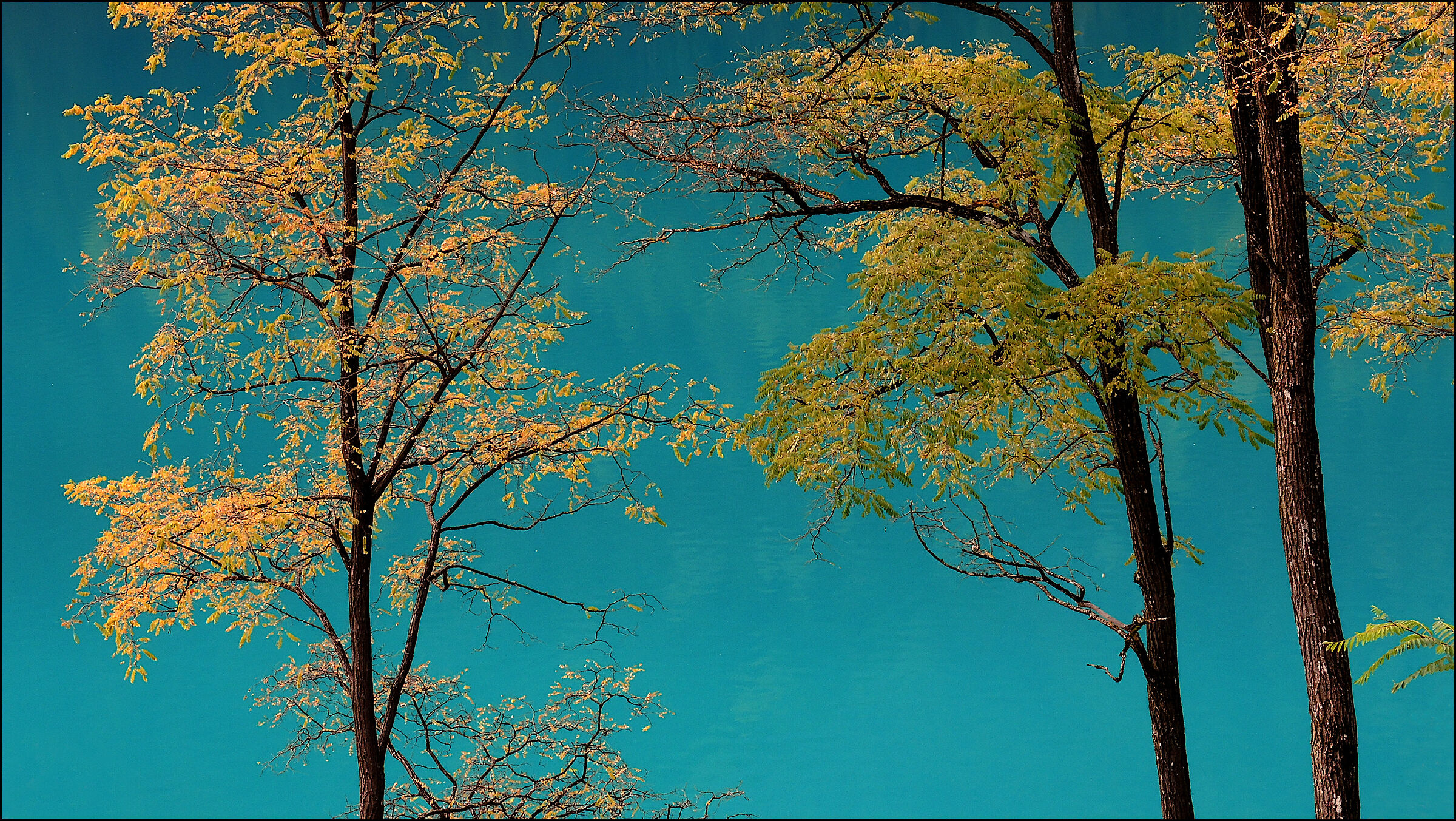 autumn on the lake...