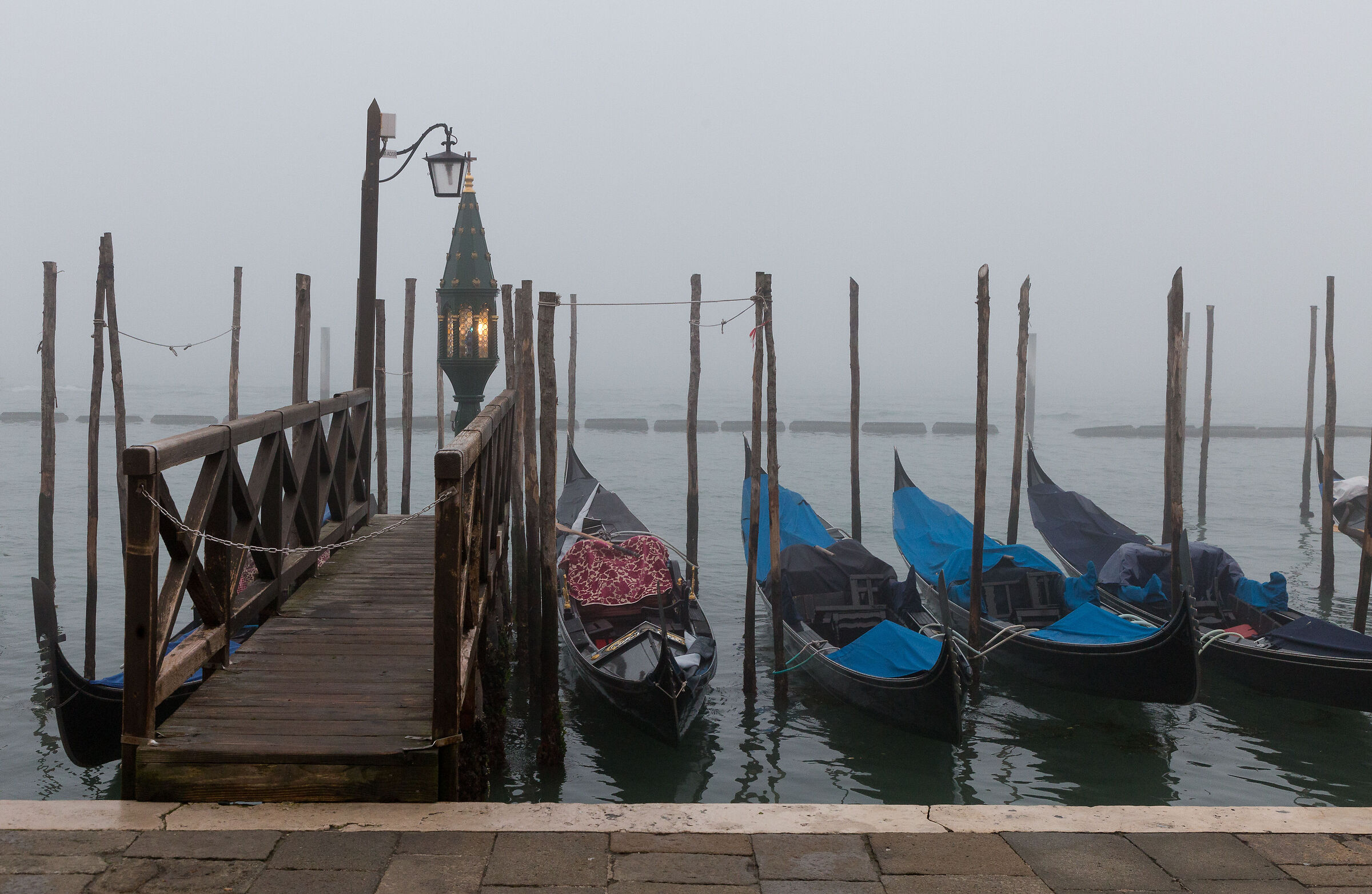 nebbia...