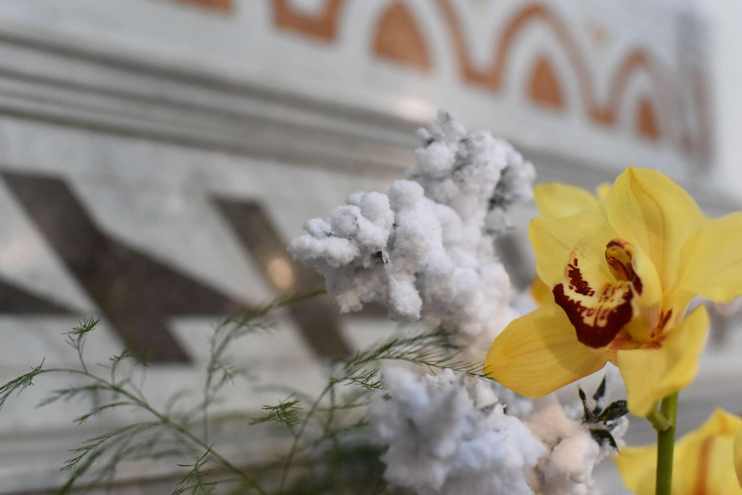 ISO 8.000 / Nikon 750- Otus Zeiss 28, 1.4...