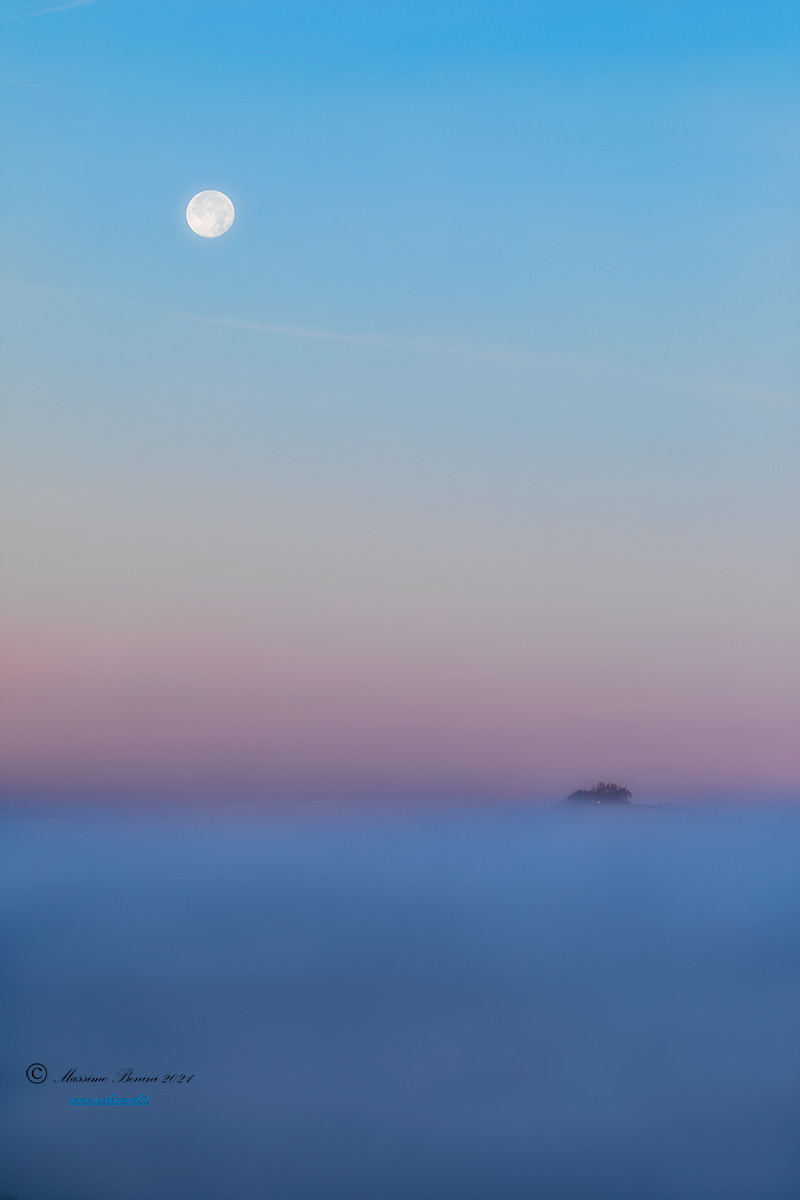 A sea of fog at the... moonlight...