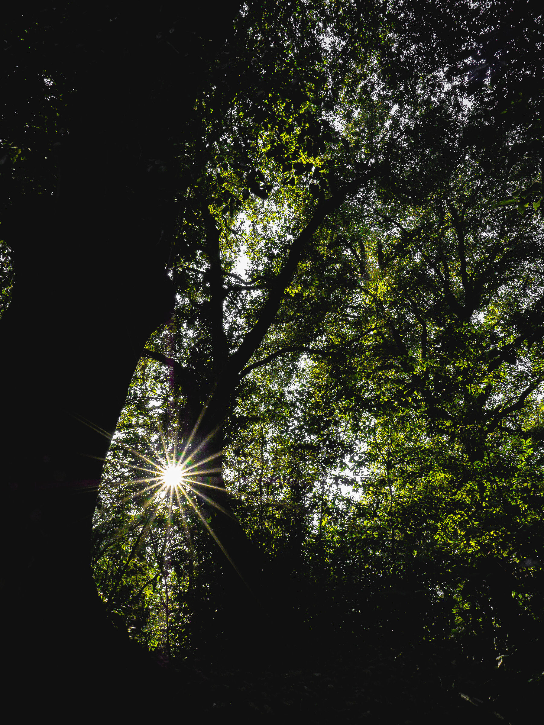 Glimmers ...