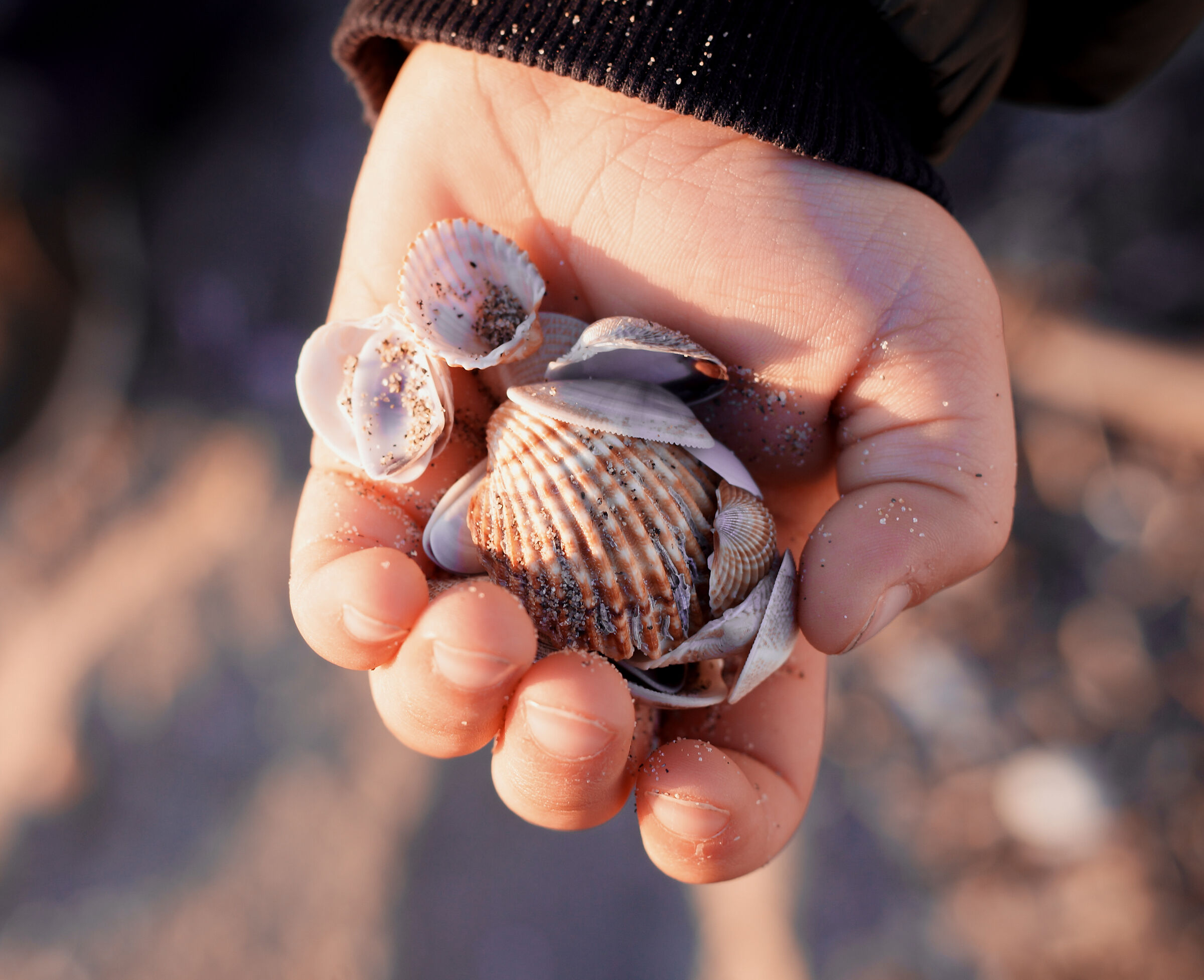 The Magic of Shells...