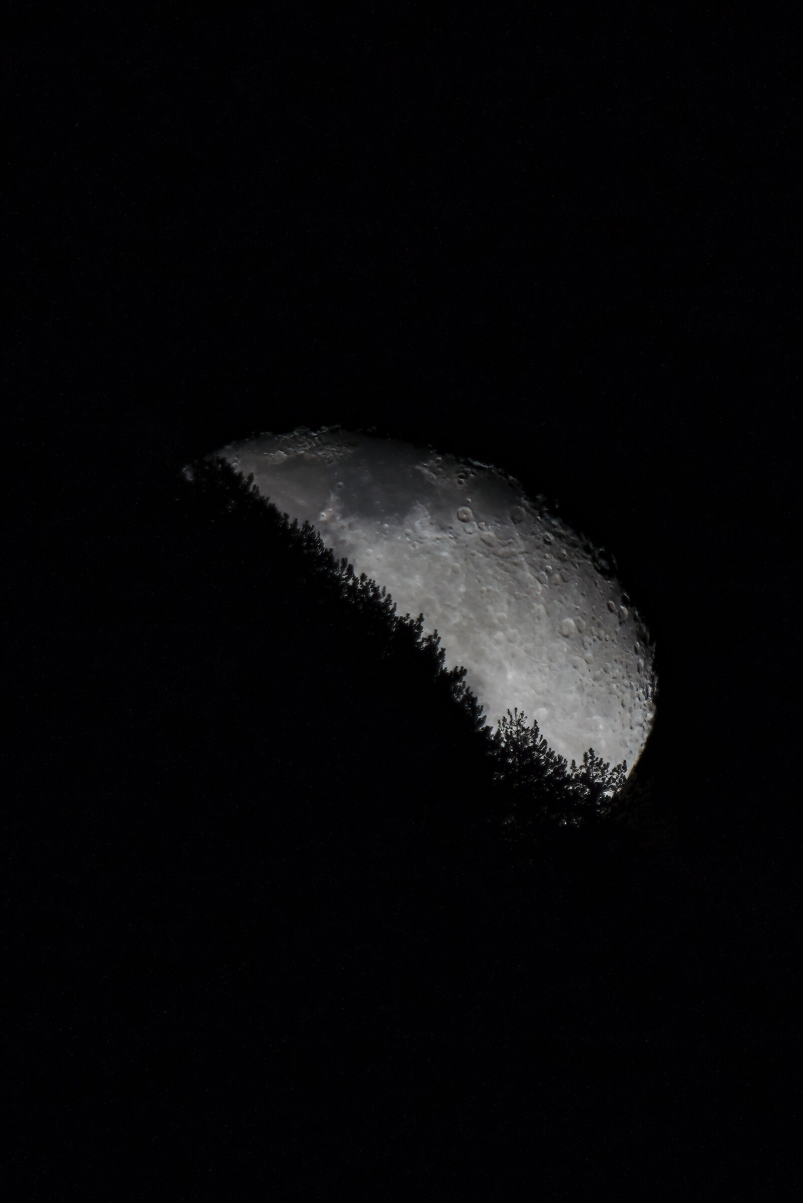 Esce la luna dal monte 21/01/2022...