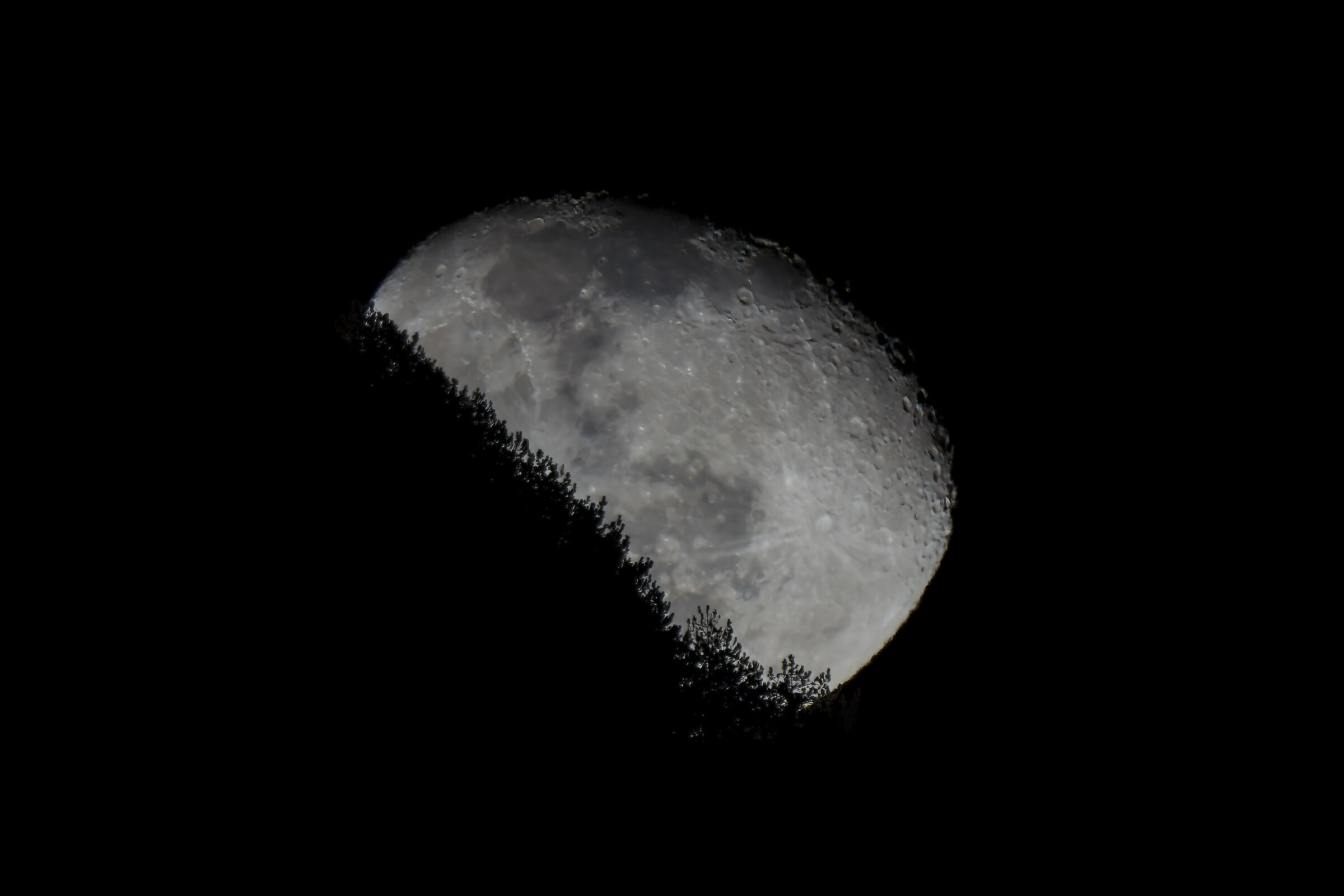 Luna calante , in uscita dal monte , 21/01/2022...